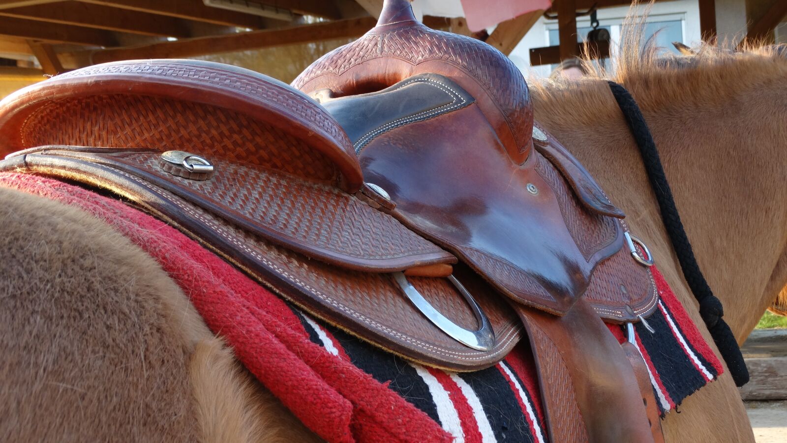Sony Cyber-shot DSC-HX300 sample photo. Saddle, cowboy, western photography