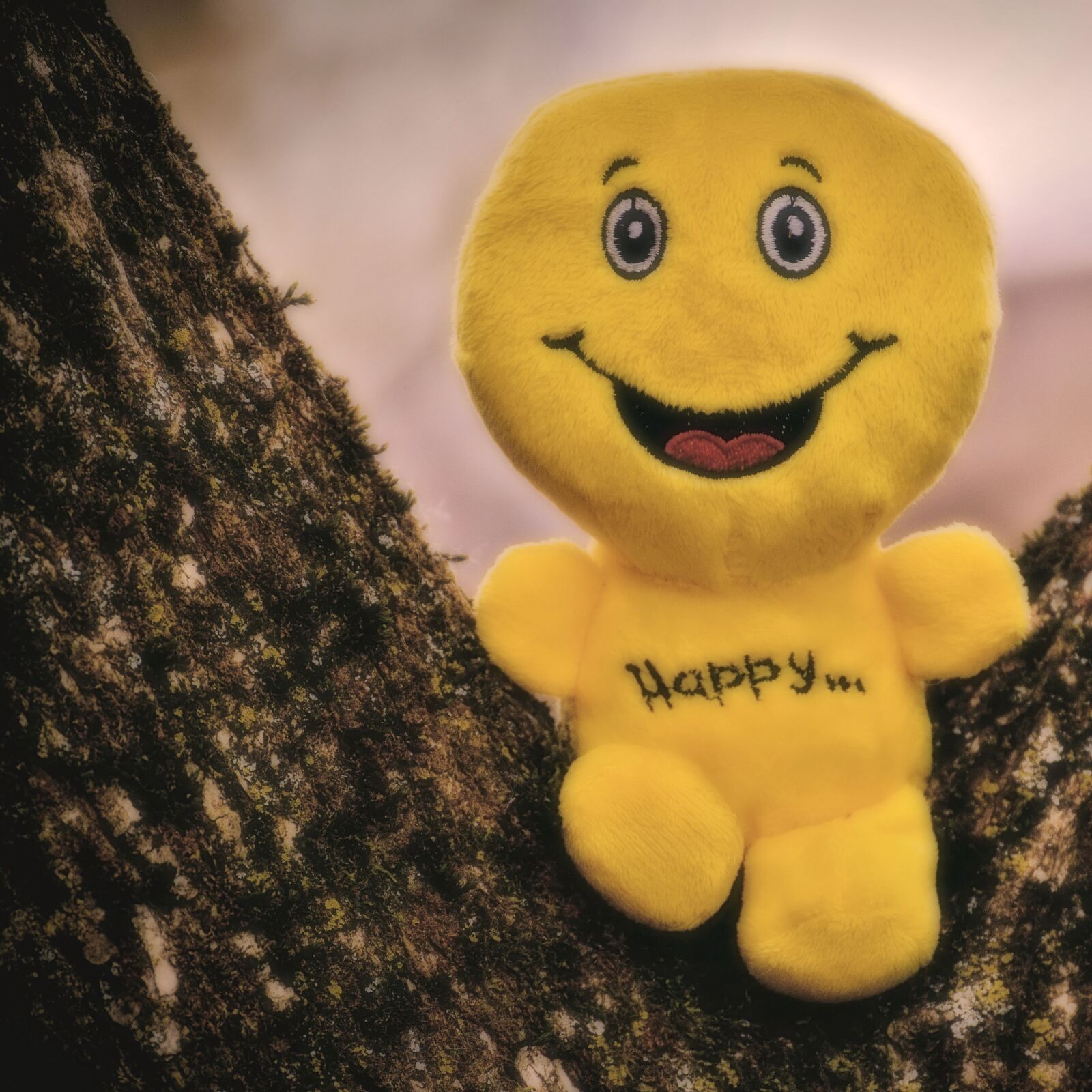 Nikon D3200 sample photo. Happy, smiley, laugh photography