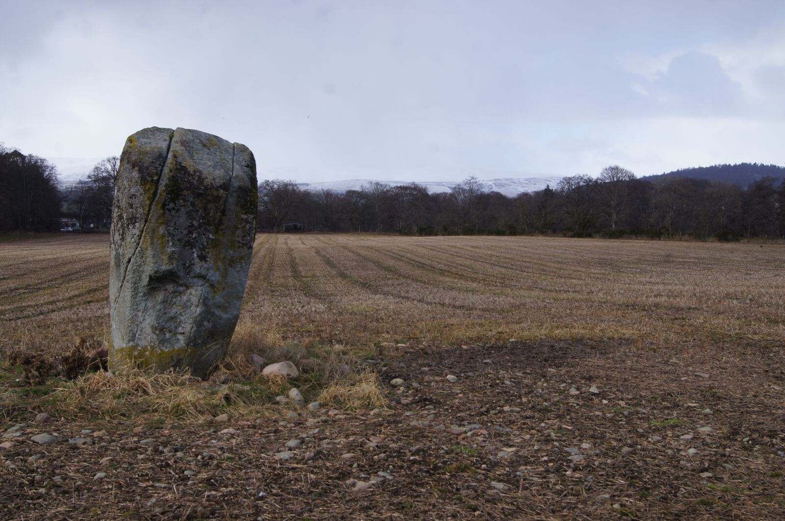 Sony Alpha DSLR-A580 sample photo. Standing stone, celtic stone photography