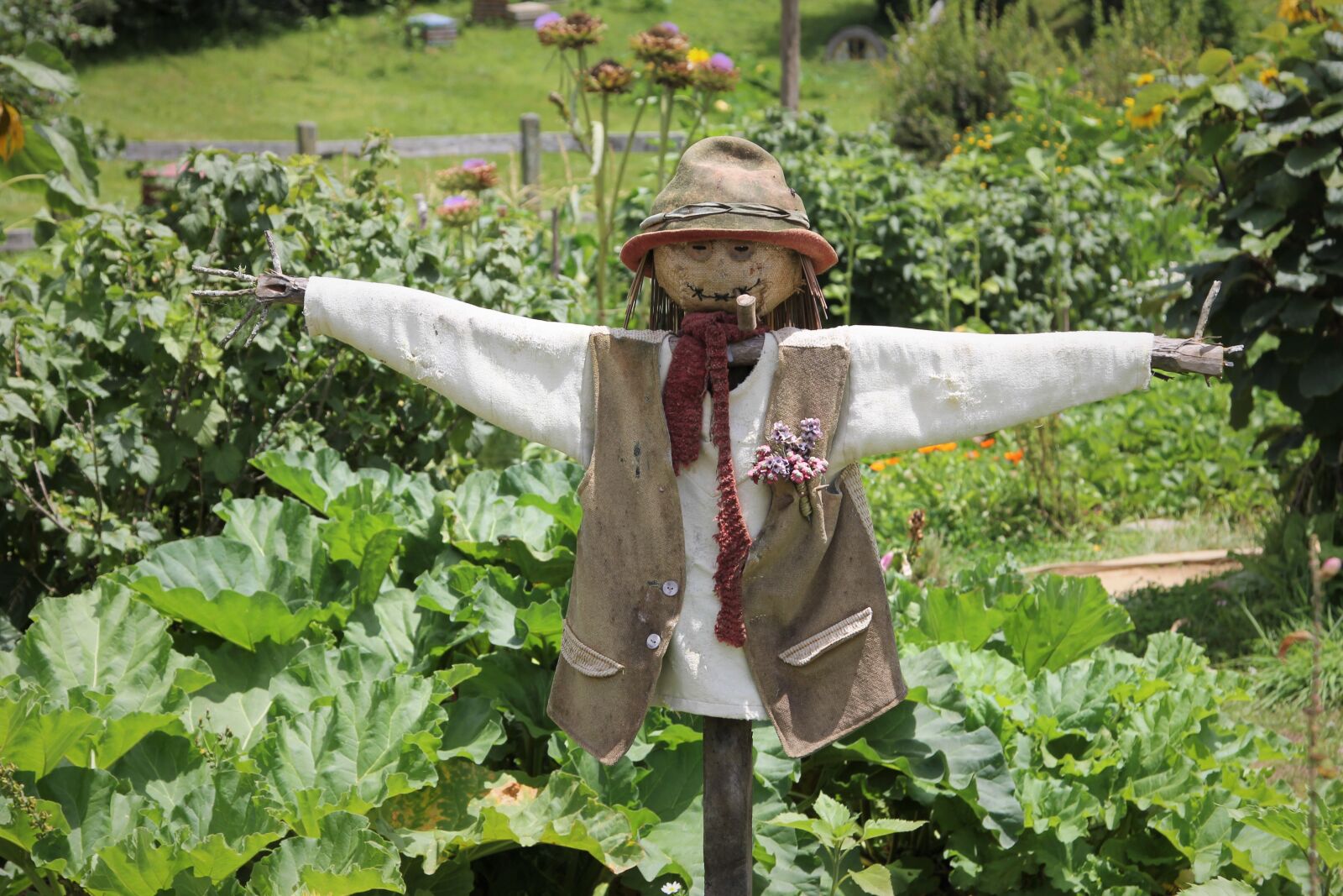 Canon EOS 60D + Canon EF 24-105mm F4L IS USM sample photo. Scarecrow, hobbit, movie photography