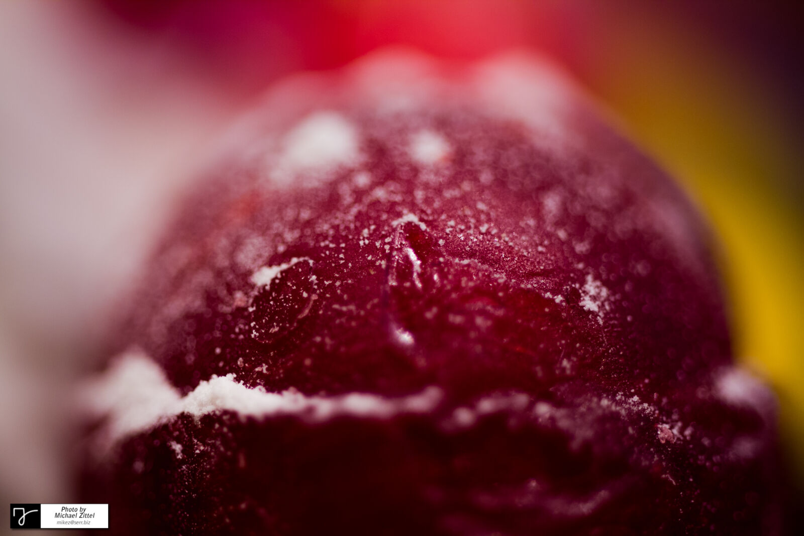 Tamron SP AF 60mm F2 Di II LD IF Macro sample photo. Close, up, of, fruit photography