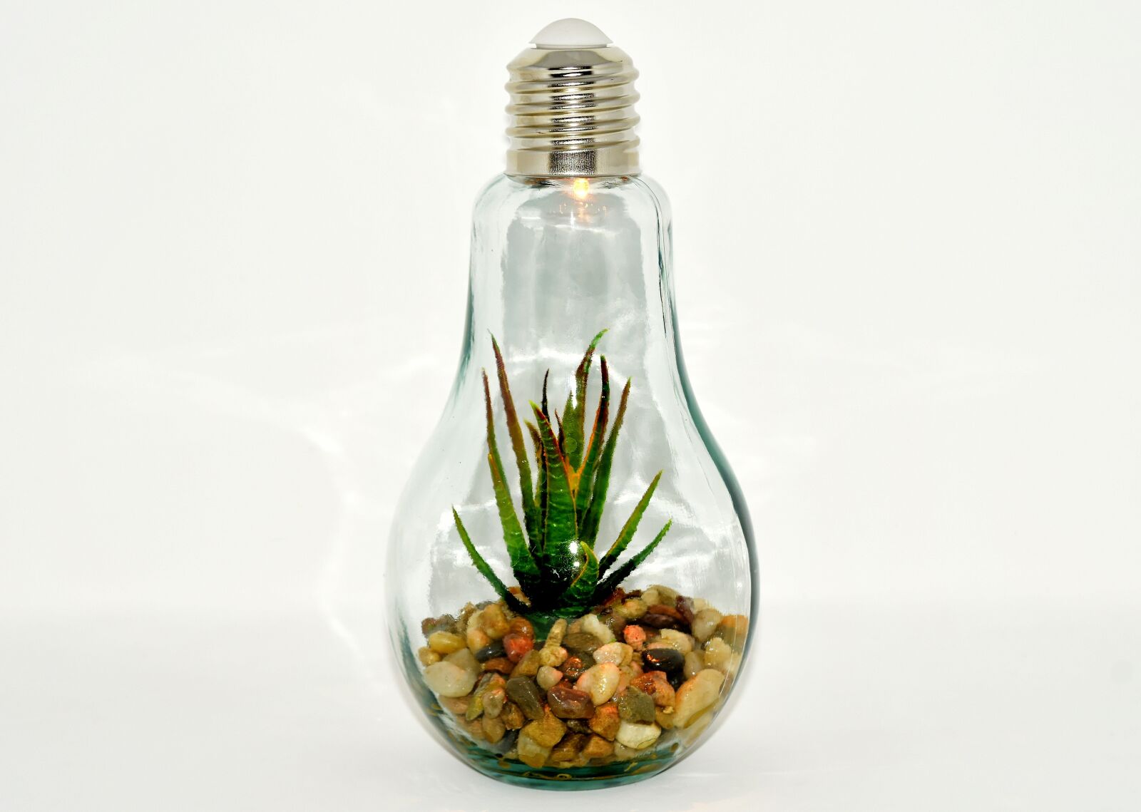 Nikon D7200 sample photo. Light bulb, plant, stones photography