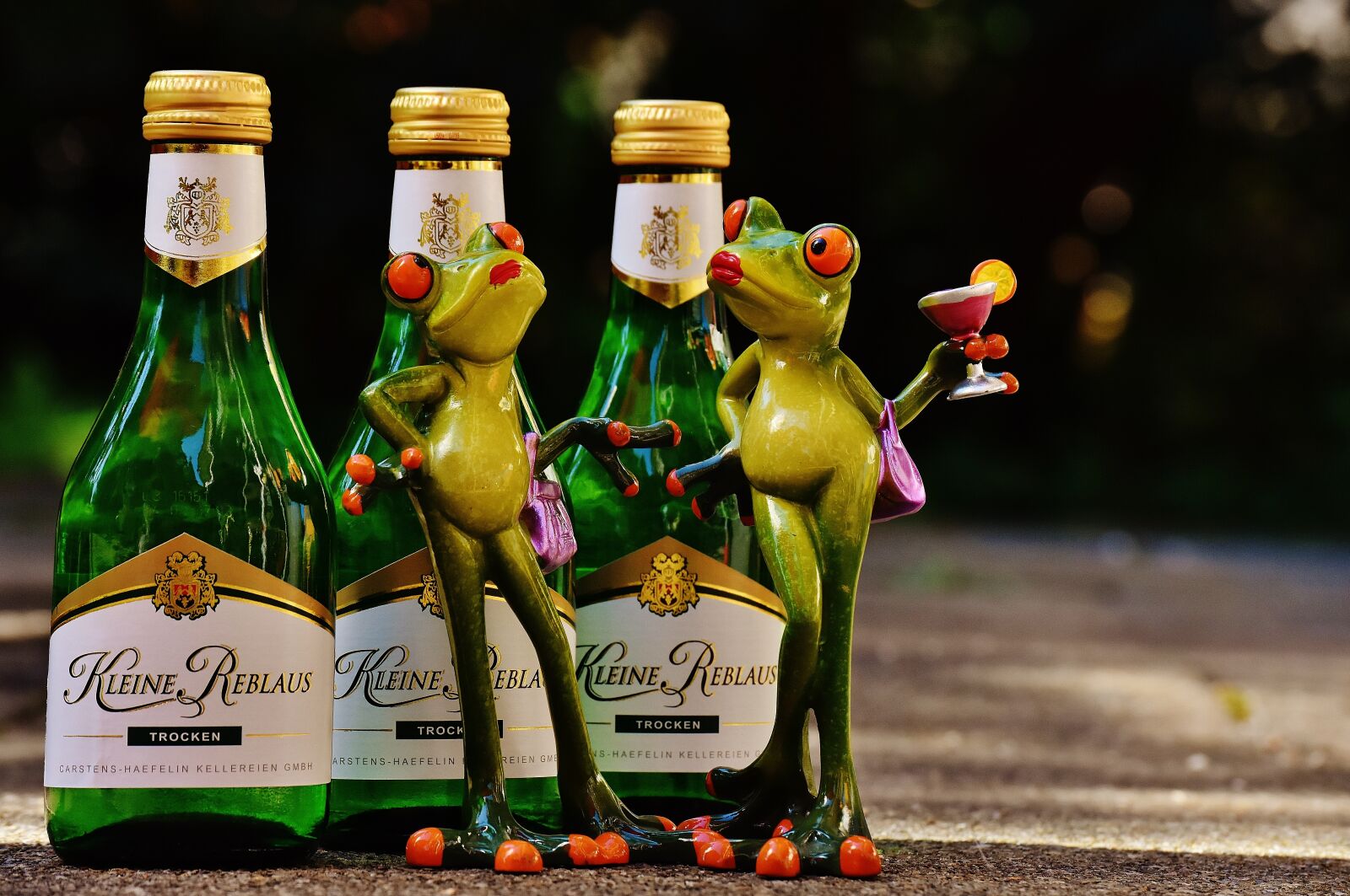 Nikon D7200 sample photo. Frogs, wine, drink photography