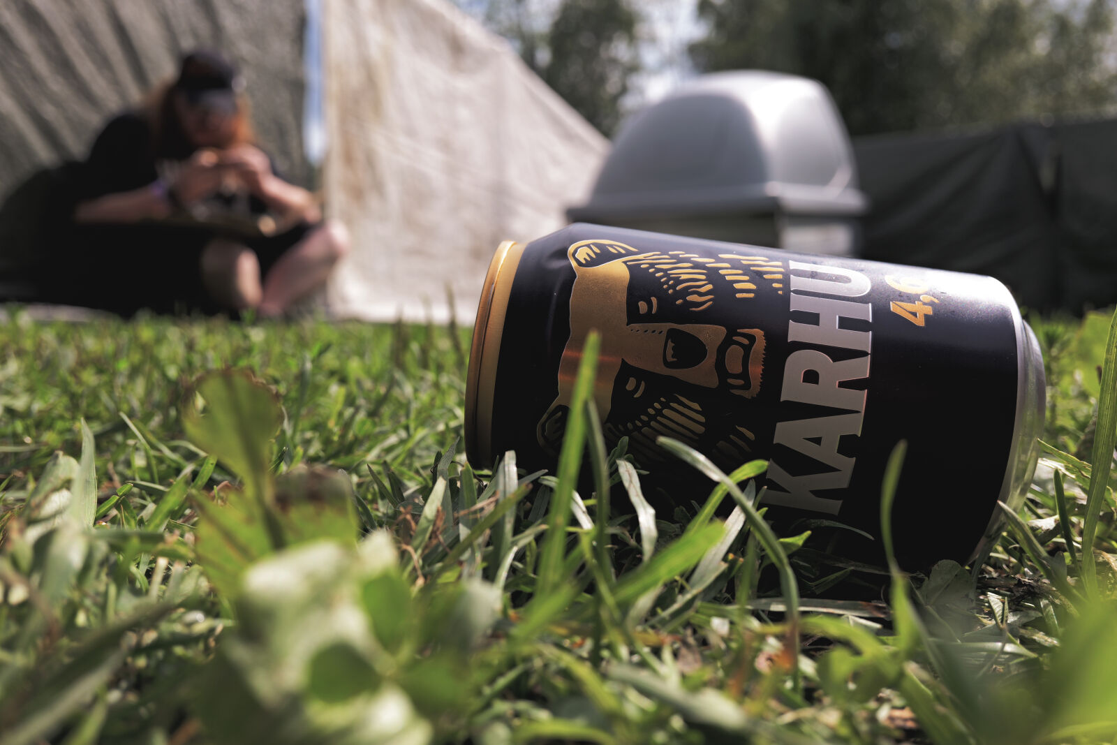 Panasonic Lumix DC-S9 sample photo. Bear beer photography
