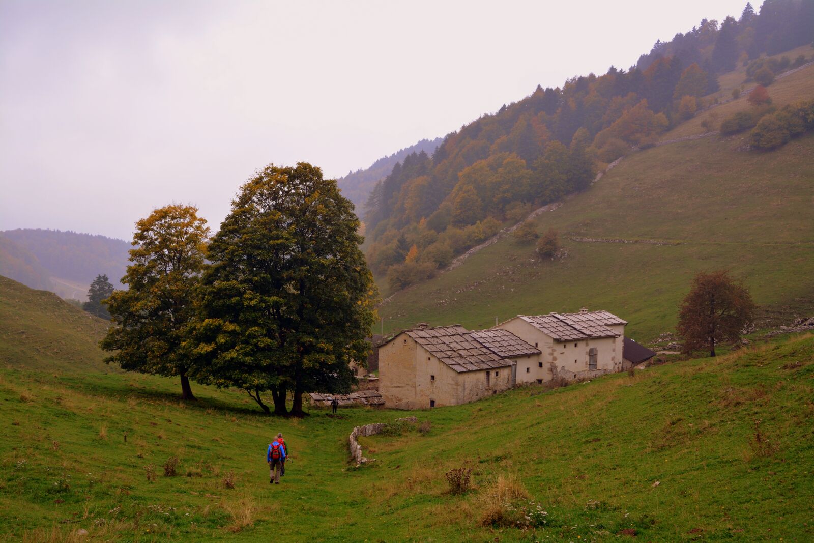 Nikon D7100 sample photo. Hiking, walk, autumn photography