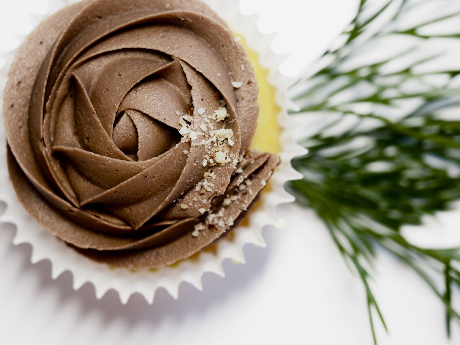 Olympus OM-D E-M10 II sample photo. Chocolate, cake, cupcake photography
