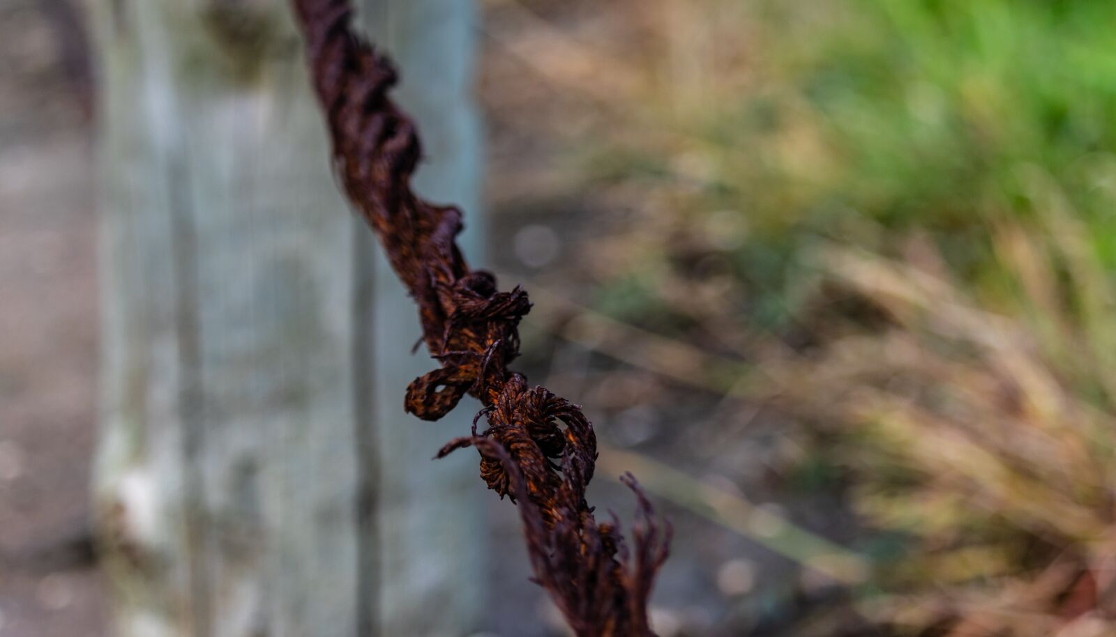 Canon EOS 200D (EOS Rebel SL2 / EOS Kiss X9) sample photo. Cable, iron, rope photography