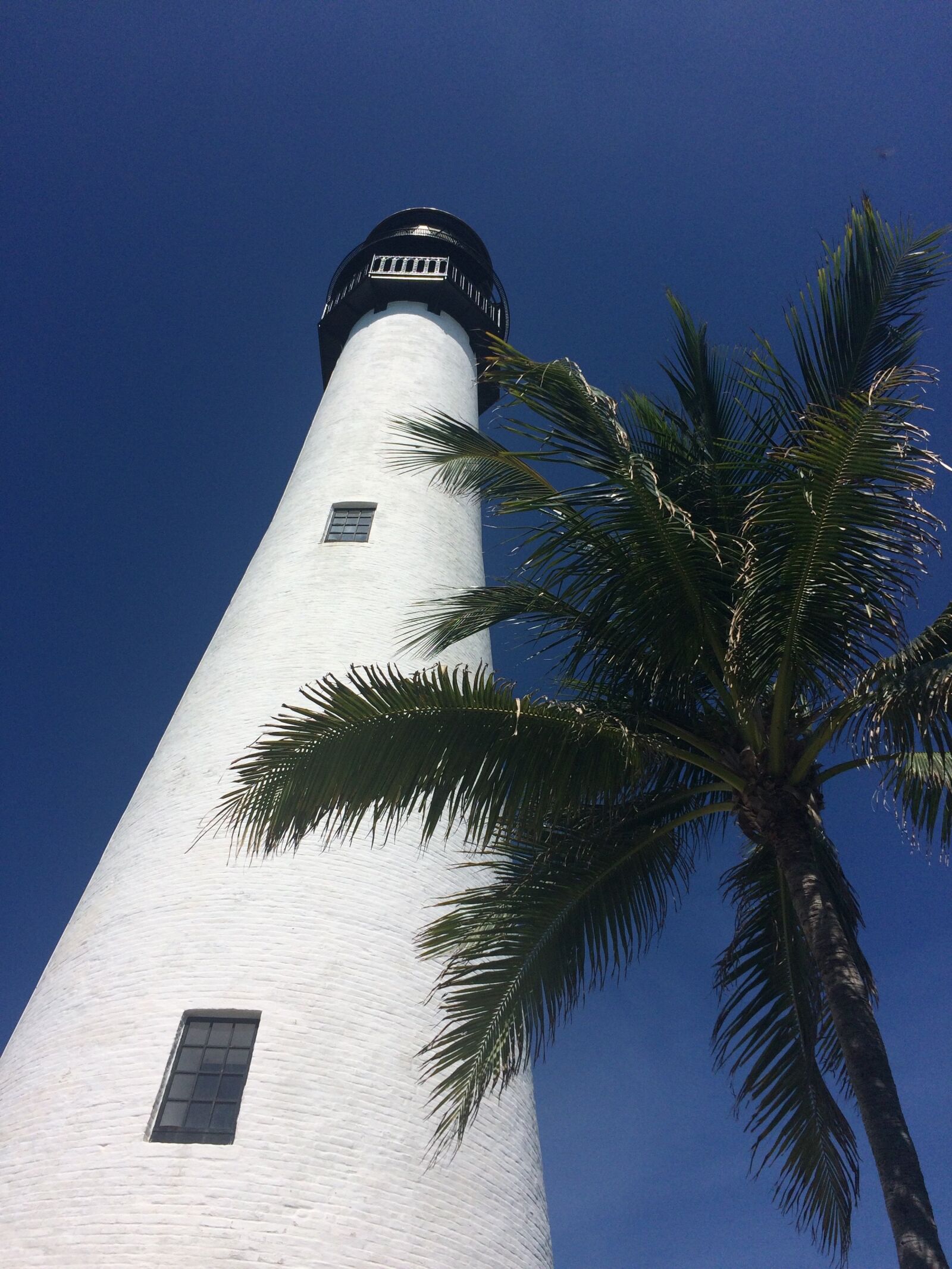 Apple iPhone 5s sample photo. Lighthouse, palm, sky photography
