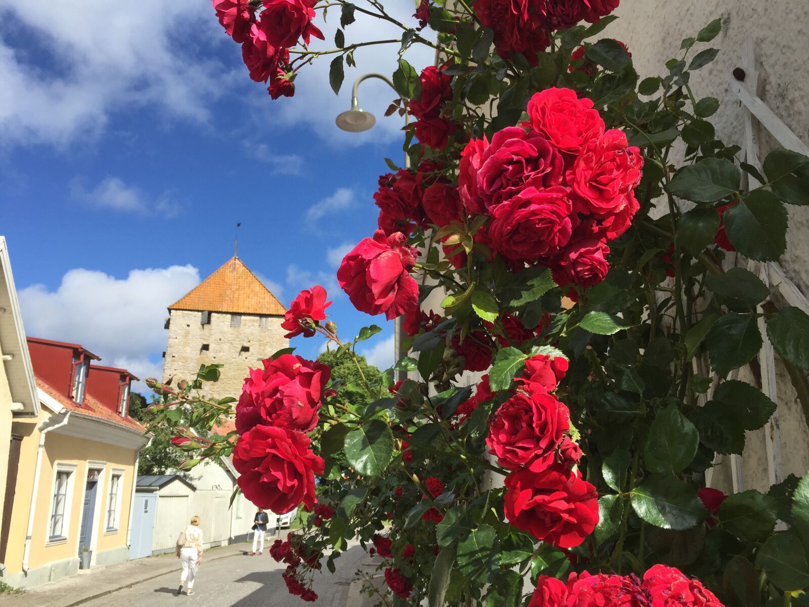 iPhone 6 back camera 4.15mm f/2.2 sample photo. Gotland, visby, sweden photography