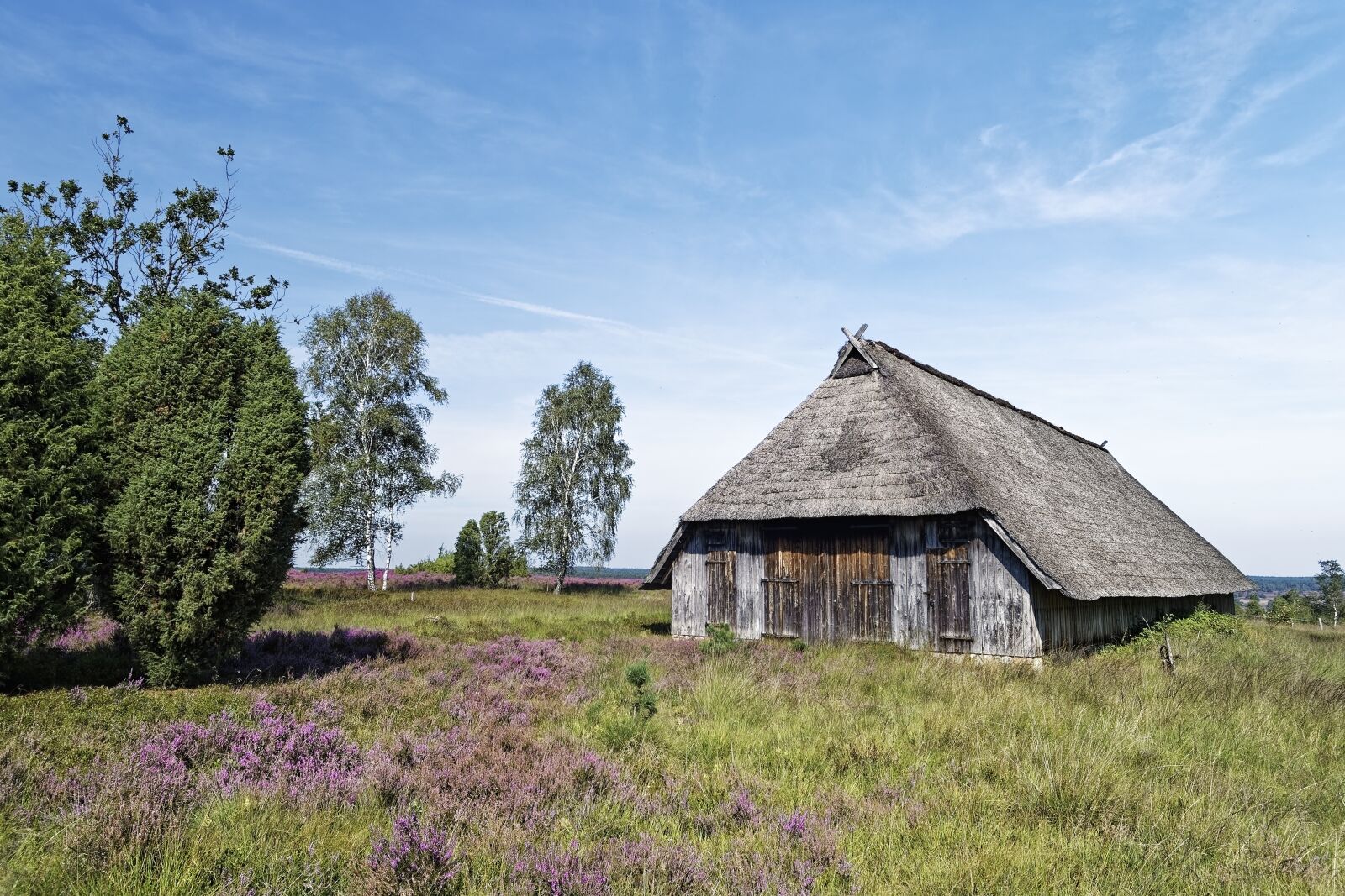 Nikon D500 sample photo. Germany, l neburg heath photography