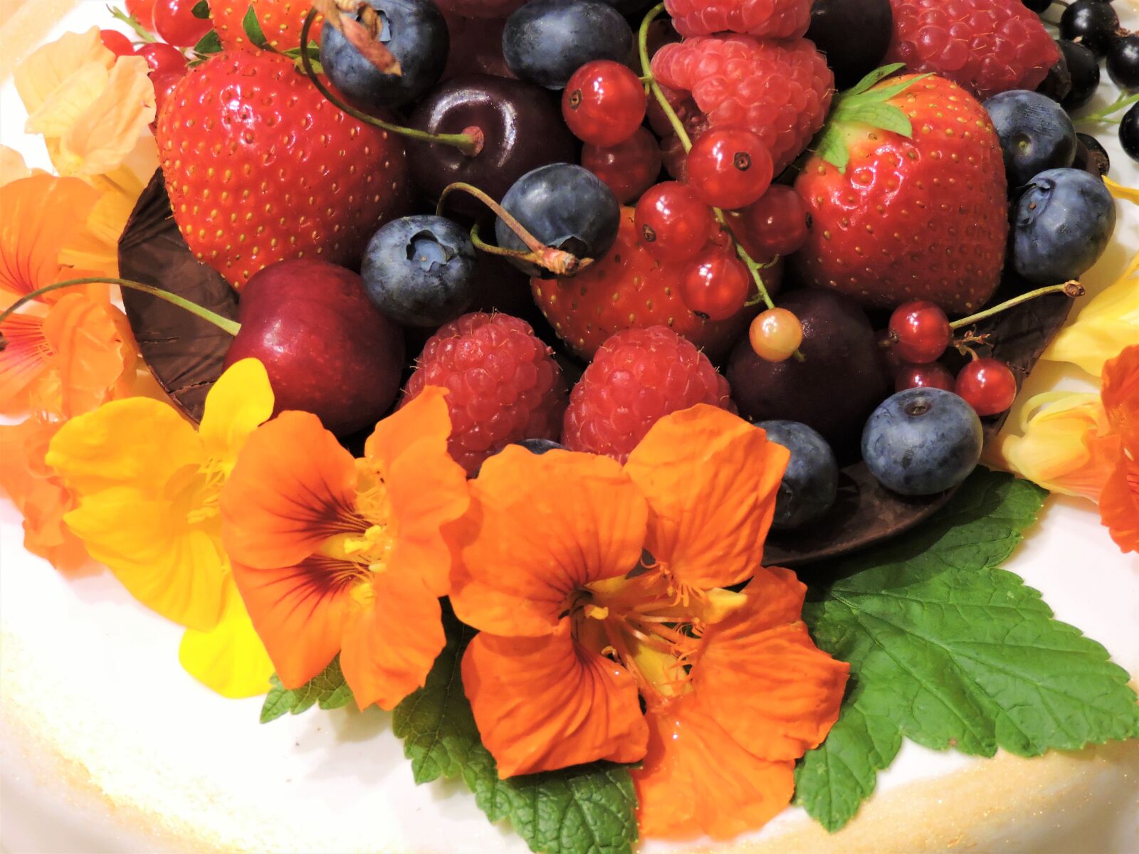 Nikon Coolpix P530 sample photo. Fruits, nasturtium, strawberry photography