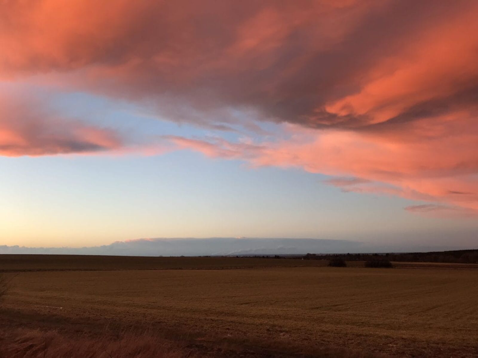 Apple iPhone 7 sample photo. Agriculture, field, sunset, sunrise photography