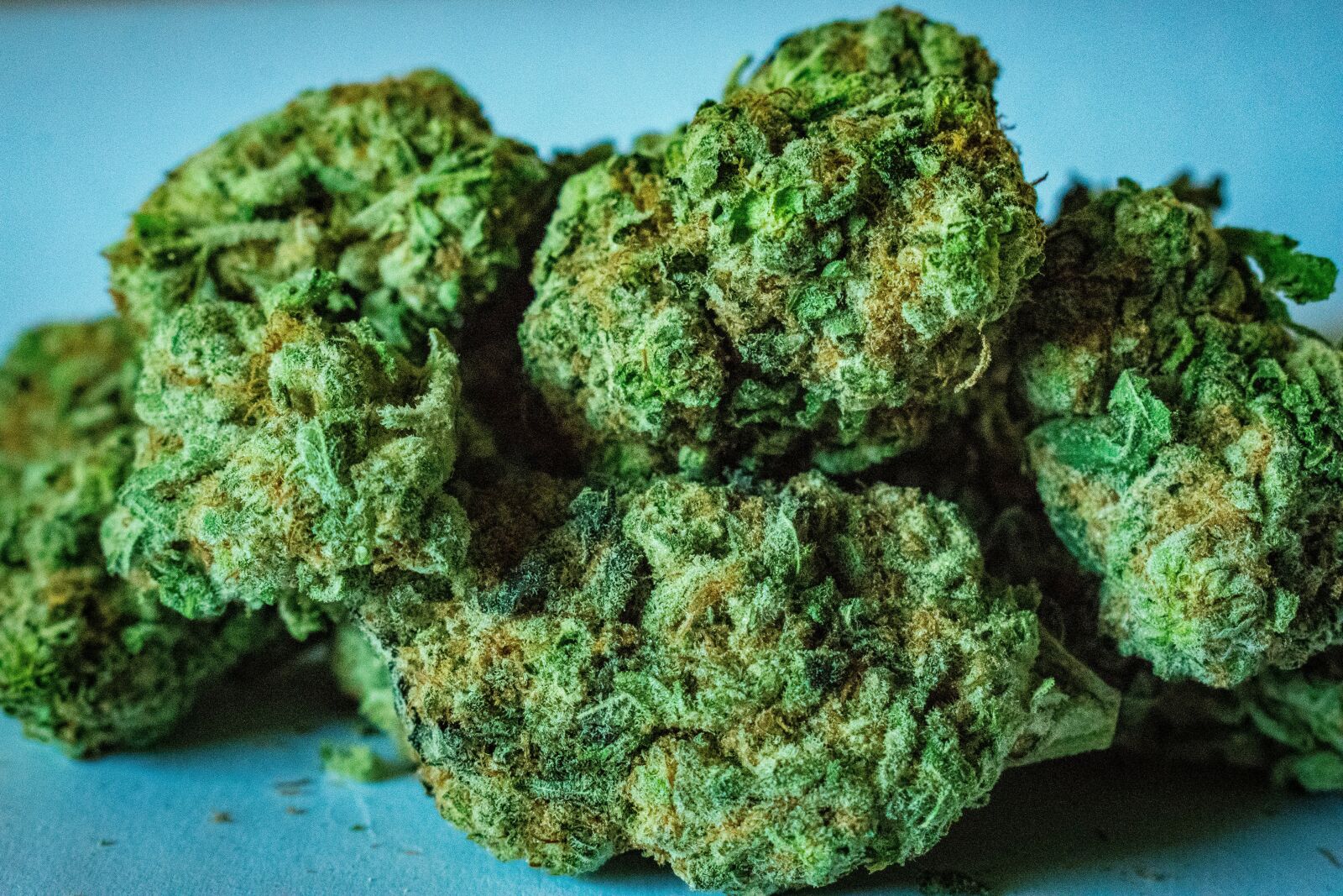 Nikon D3400 sample photo. Marijuana, weed, cannabis photography