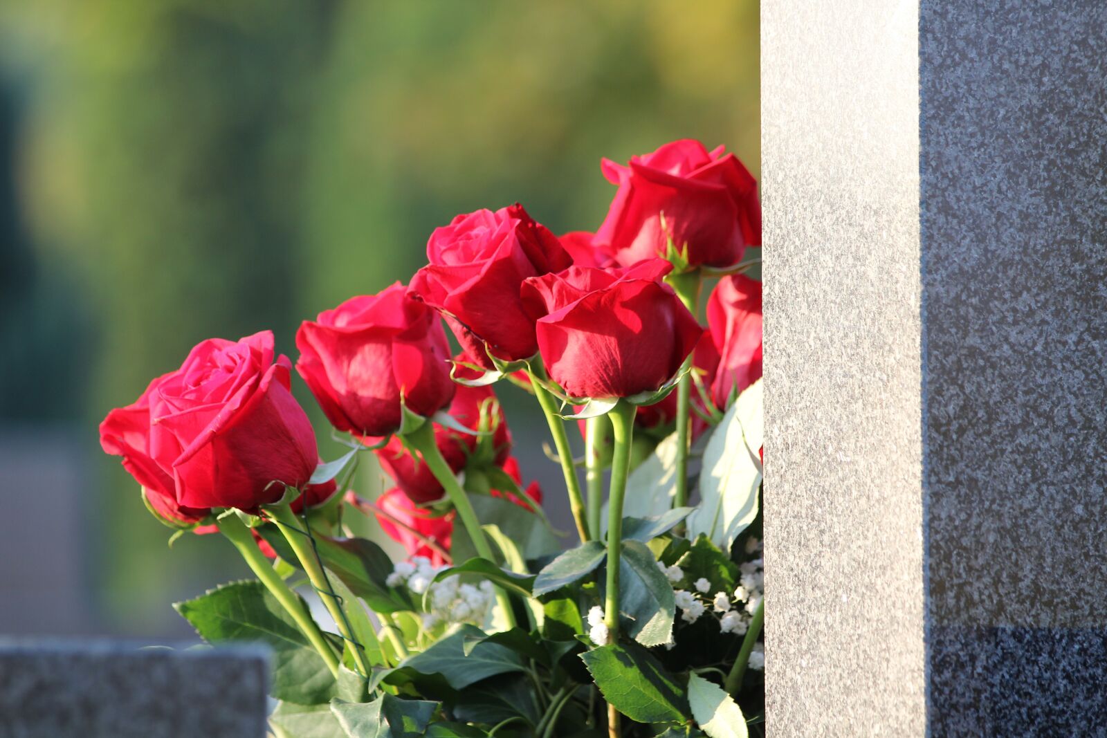 Canon EOS 600D (Rebel EOS T3i / EOS Kiss X5) sample photo. Red roses bouquet, condolence photography