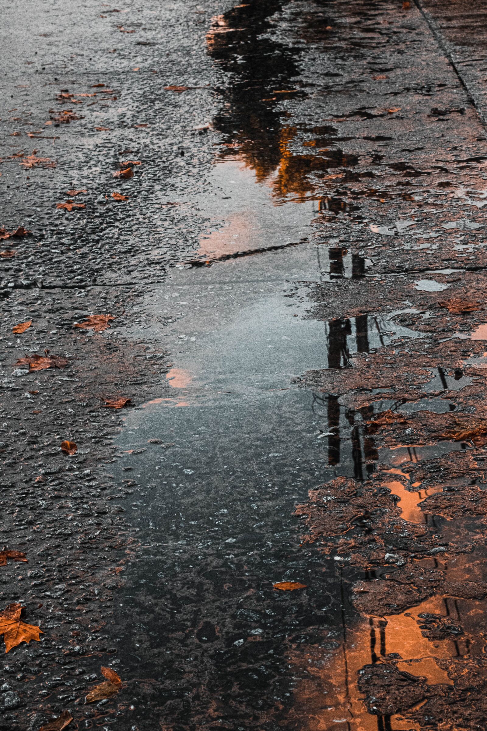 Canon EOS 80D + Canon EF 50mm F1.8 STM sample photo. Street, reflection, water photography