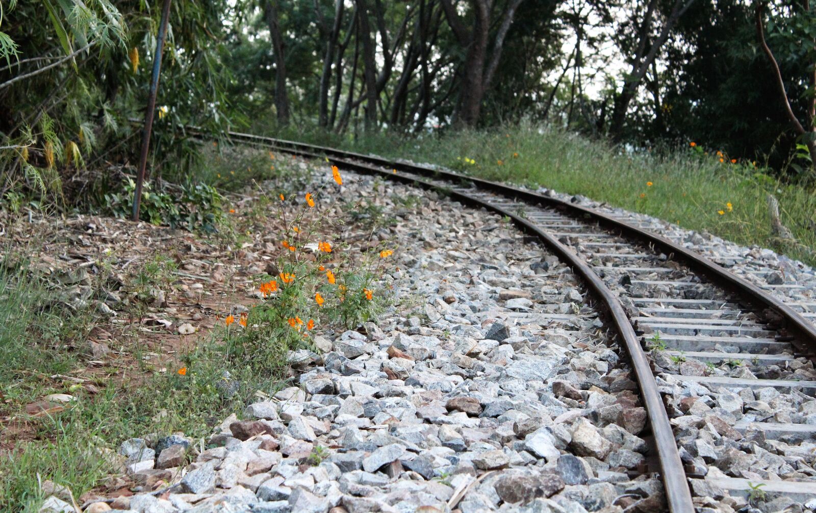 Canon EOS 1200D (EOS Rebel T5 / EOS Kiss X70 / EOS Hi) sample photo. Railtrack, track, pathway photography