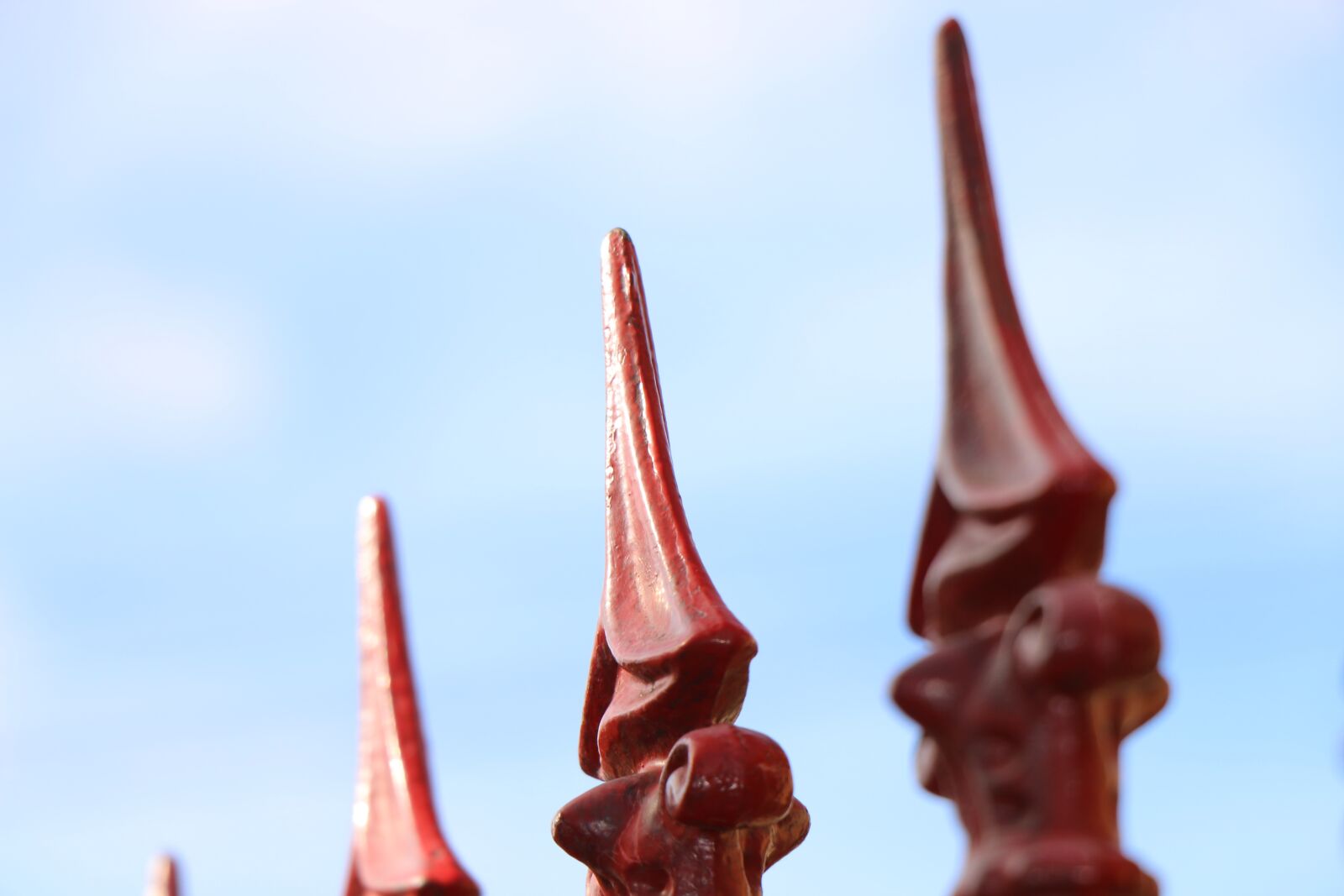 Canon EOS 70D sample photo. Tip, fence, wicket photography