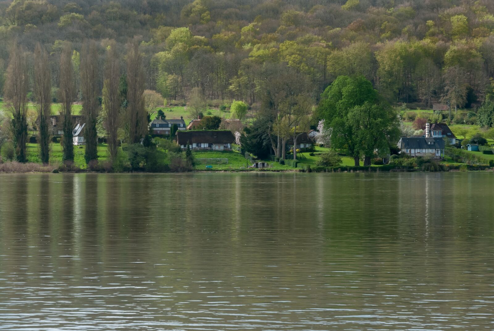 Nikon D80 sample photo. Body of water, river photography
