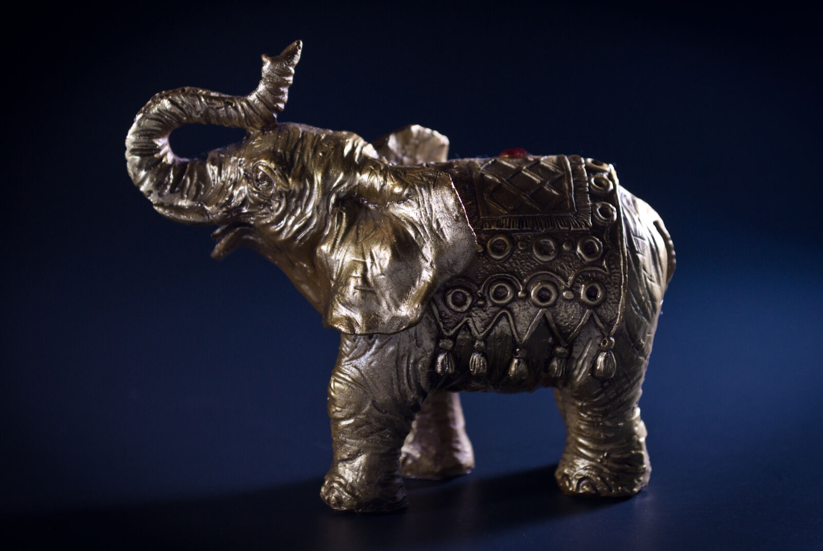 Nikon D200 sample photo. Elephants photography