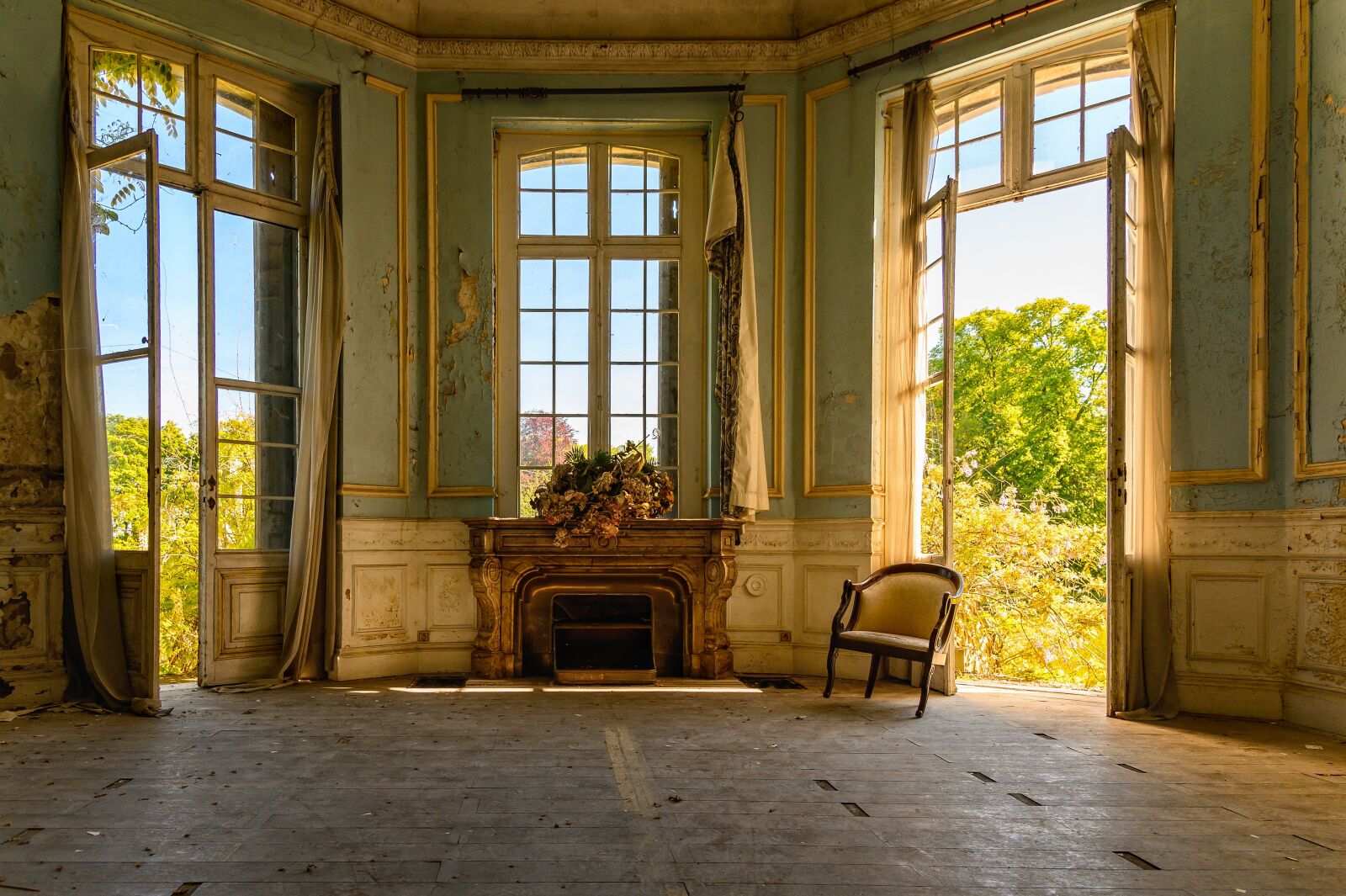 Nikon Z6 sample photo. Salon, space, room photography