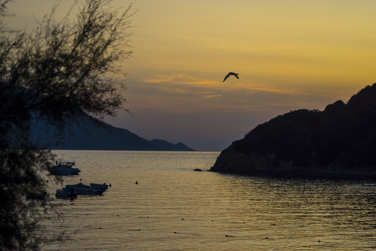 Nikon D7200 sample photo. Bay, sea, abendstimmung photography