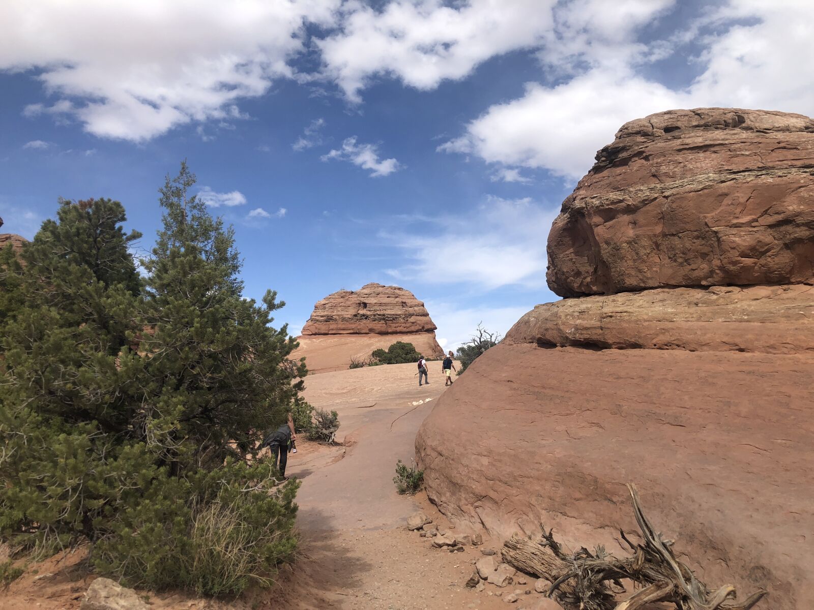 iPhone X back dual camera 4mm f/1.8 sample photo. Moab, utah, stone photography