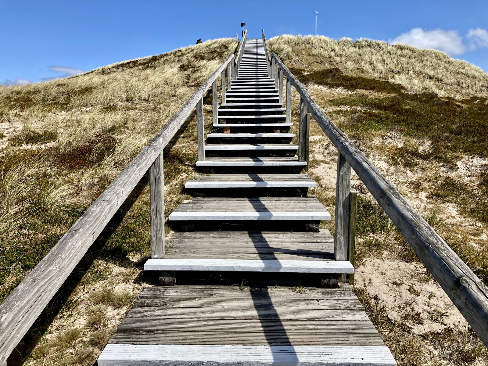 iPhone SE back camera 3.99mm f/1.8 sample photo. Sylt, dune, north sea photography