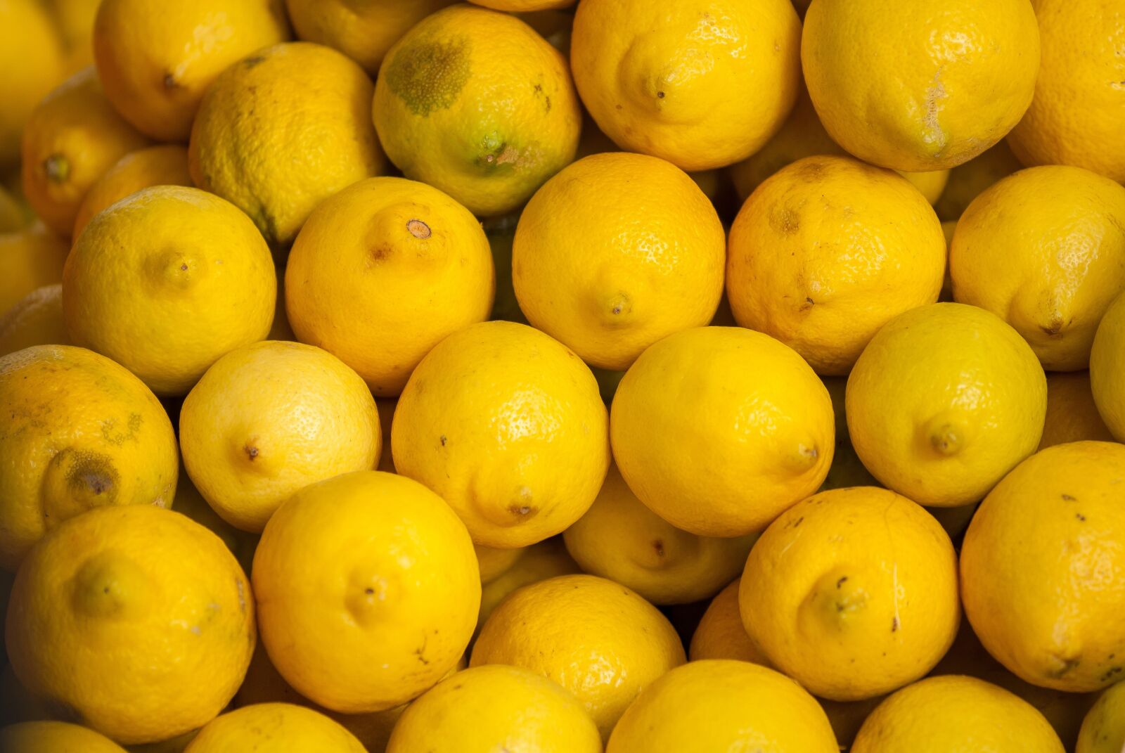 Nikon D200 sample photo. Fruit, ved, lemon photography