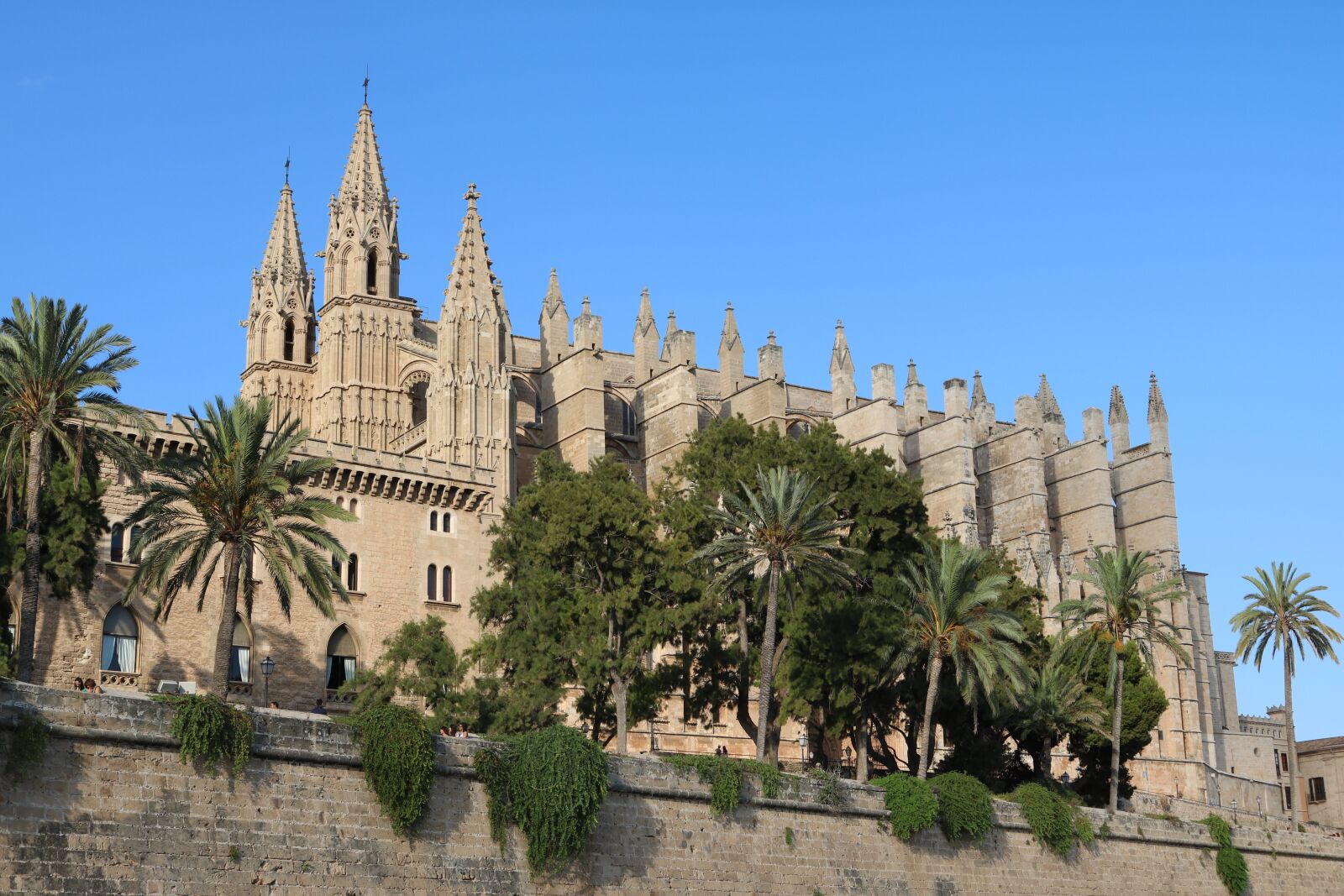 Canon EOS 750D (EOS Rebel T6i / EOS Kiss X8i) sample photo. Mallorca, palma, cathedral photography