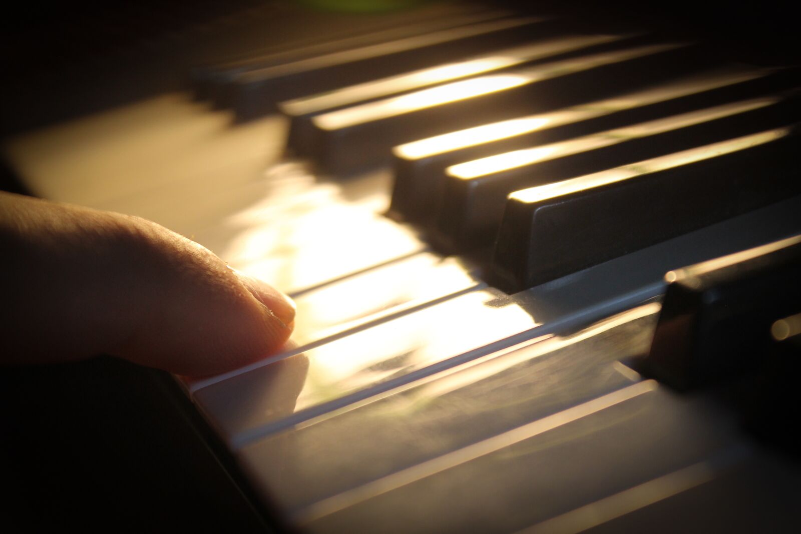 Canon EOS 1100D (EOS Rebel T3 / EOS Kiss X50) sample photo. Piano, keyboard, music photography