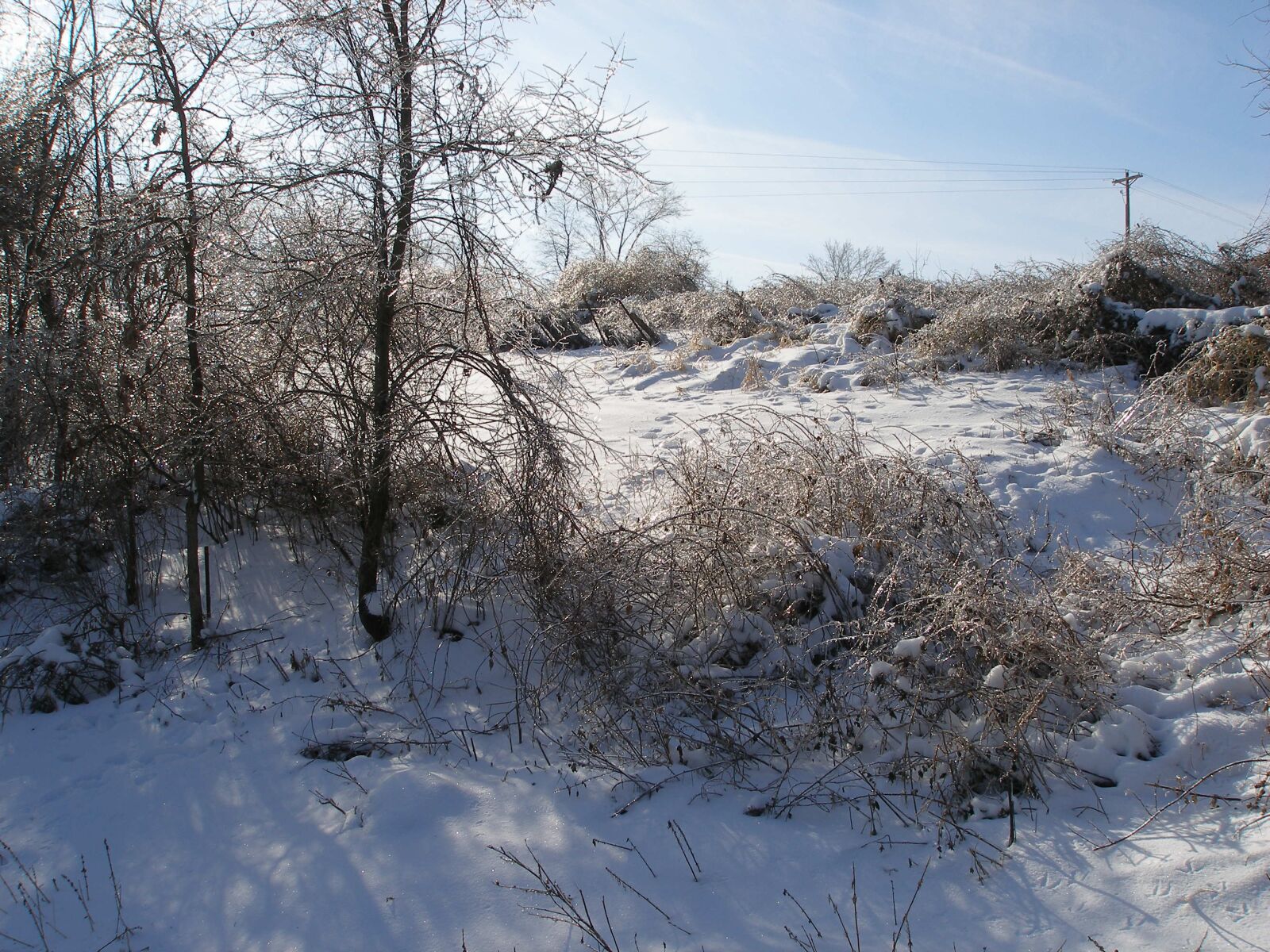 Olympus SP350 sample photo. Winter, sunny, landscape photography