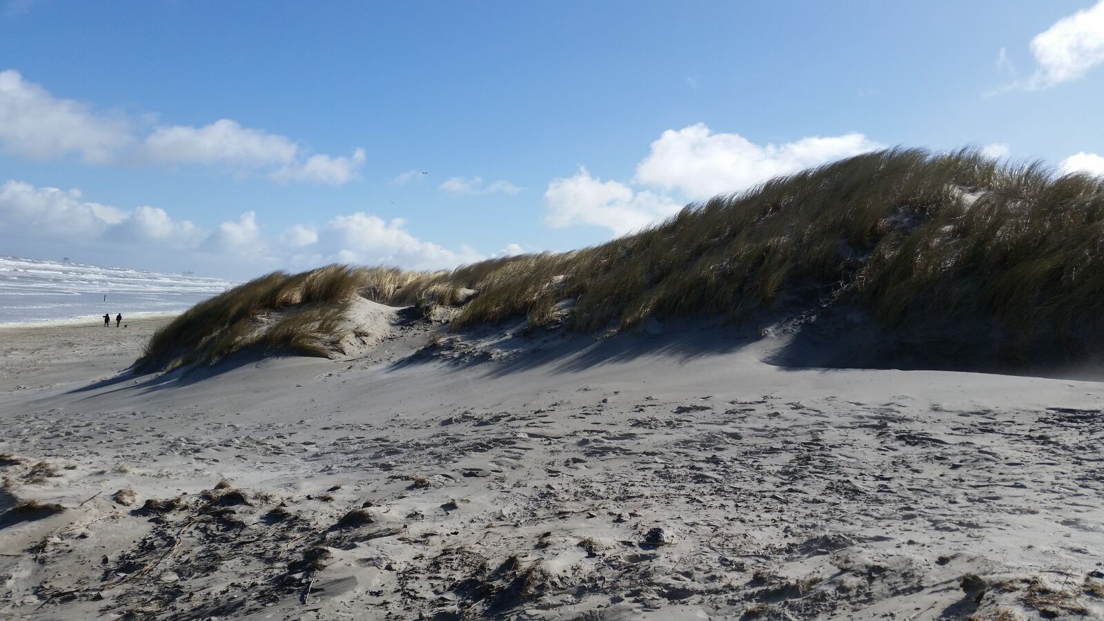 Samsung Galaxy S5 sample photo. Beach, dunes, north sea photography