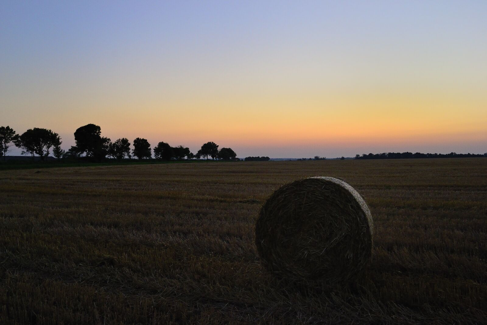 Nikon D3100 sample photo. Evening, ukraine, landscape photography