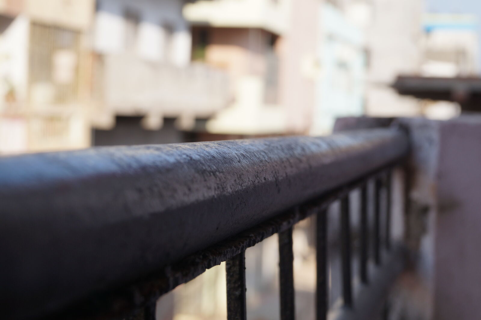 Sony DT 18-55mm F3.5-5.6 SAM II sample photo