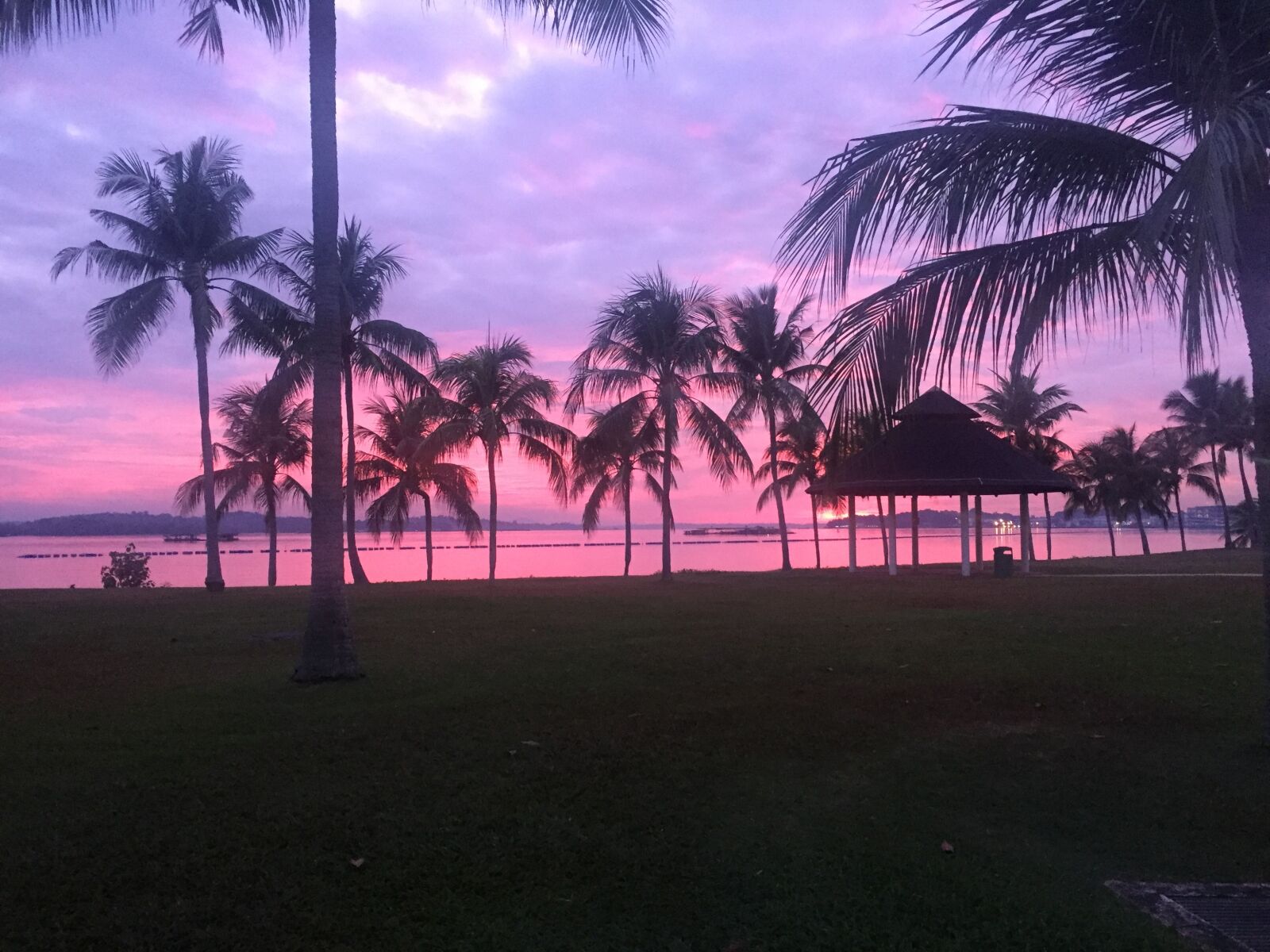Apple iPhone 6 sample photo. Singapore, beach, sunrise photography