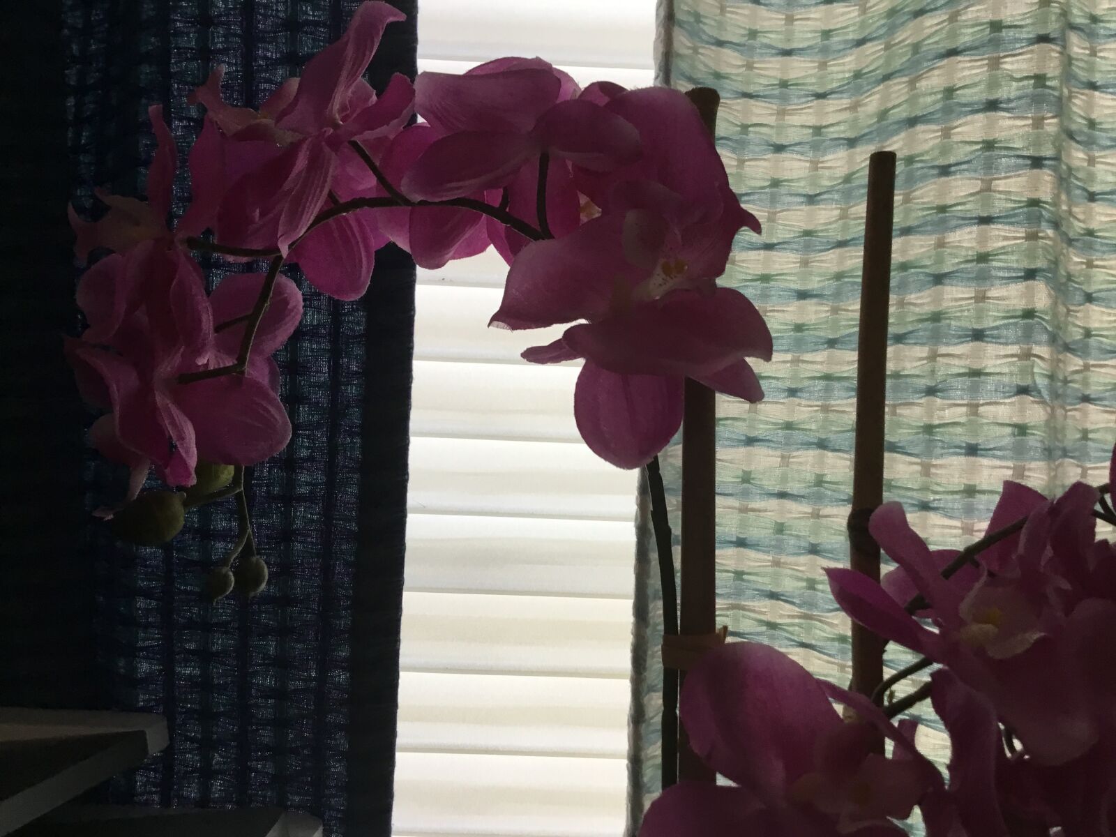 Apple iPad (5th generation) sample photo