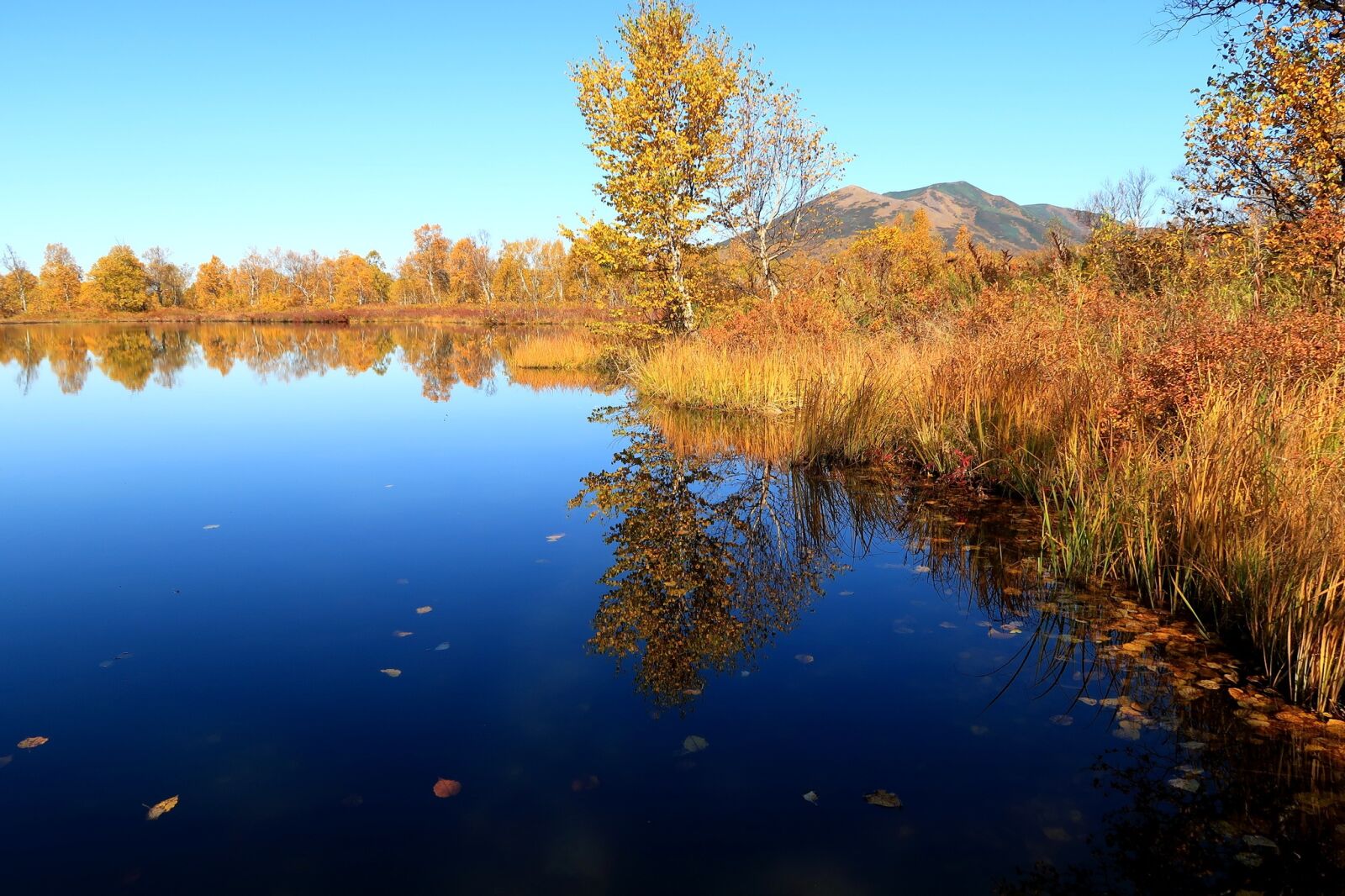 Canon PowerShot G7 X Mark II sample photo. Autumn, lake, mountains photography