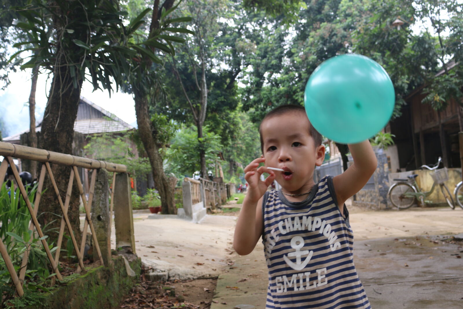 Canon EOS 70D sample photo