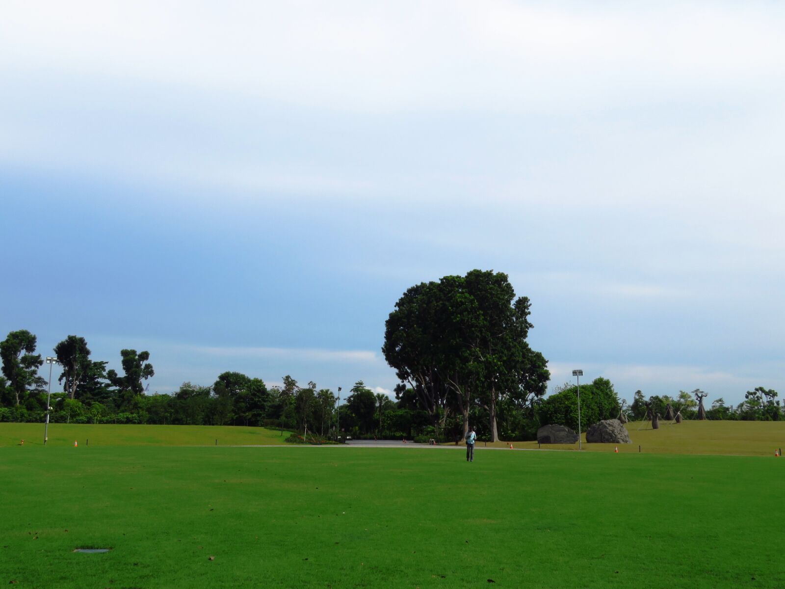 Canon PowerShot SX60 HS sample photo. Landscape, background, green photography