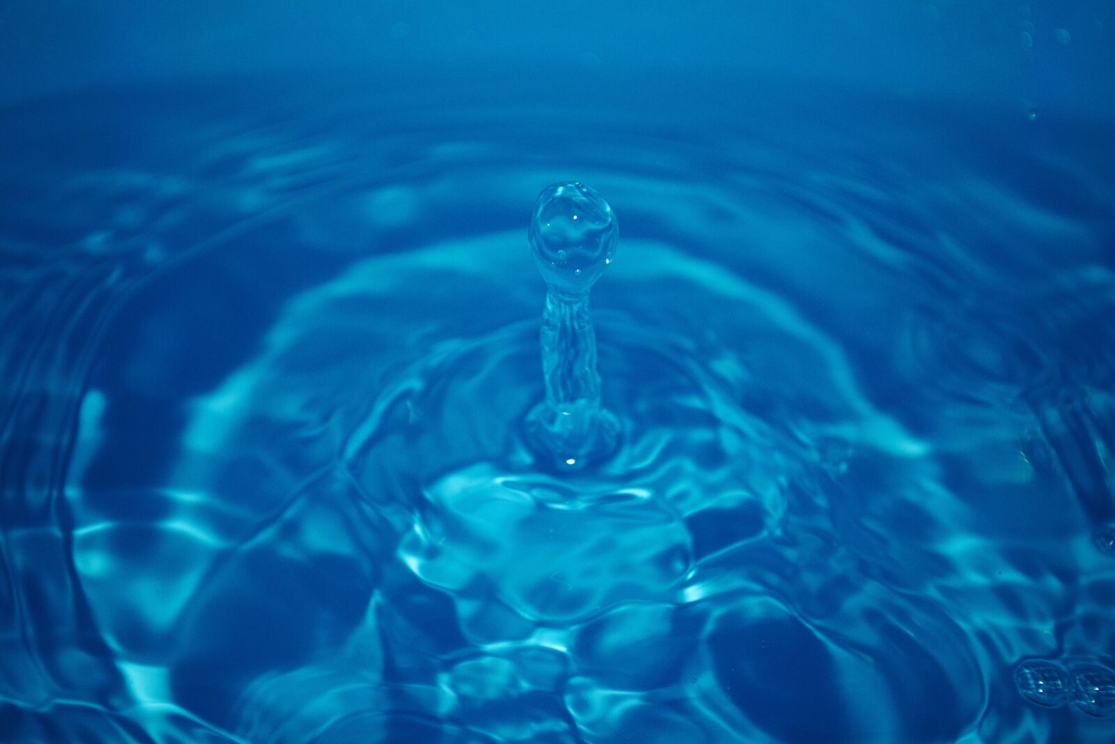 Nikon D3100 sample photo. Water, bucket, photos photography