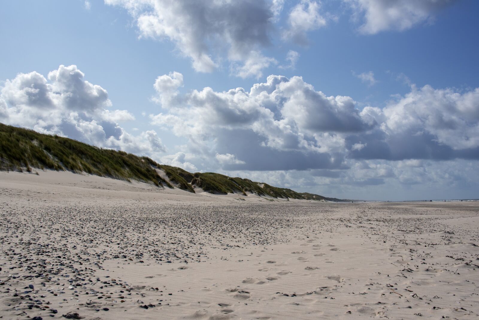 Nikon D750 sample photo. Beach, sand beach, north photography