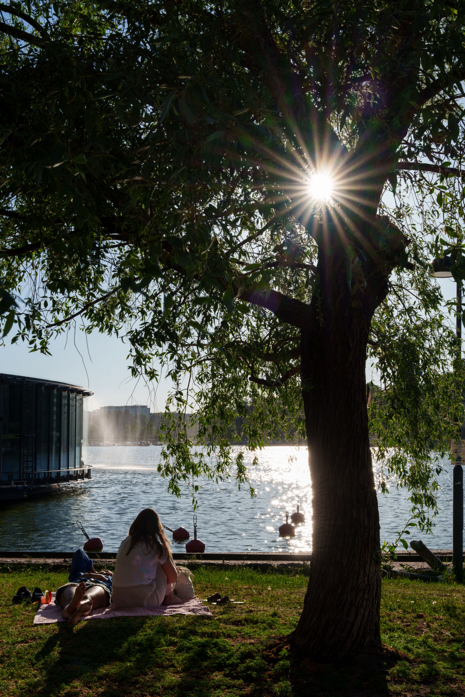 Sony a7R V sample photo. Sunstar evening photography