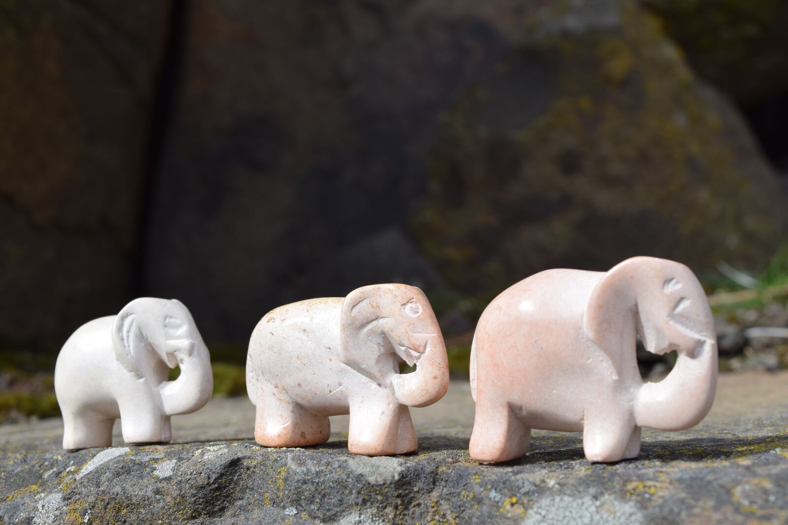 Nikon D3300 sample photo. Elephant family, walking, safari photography