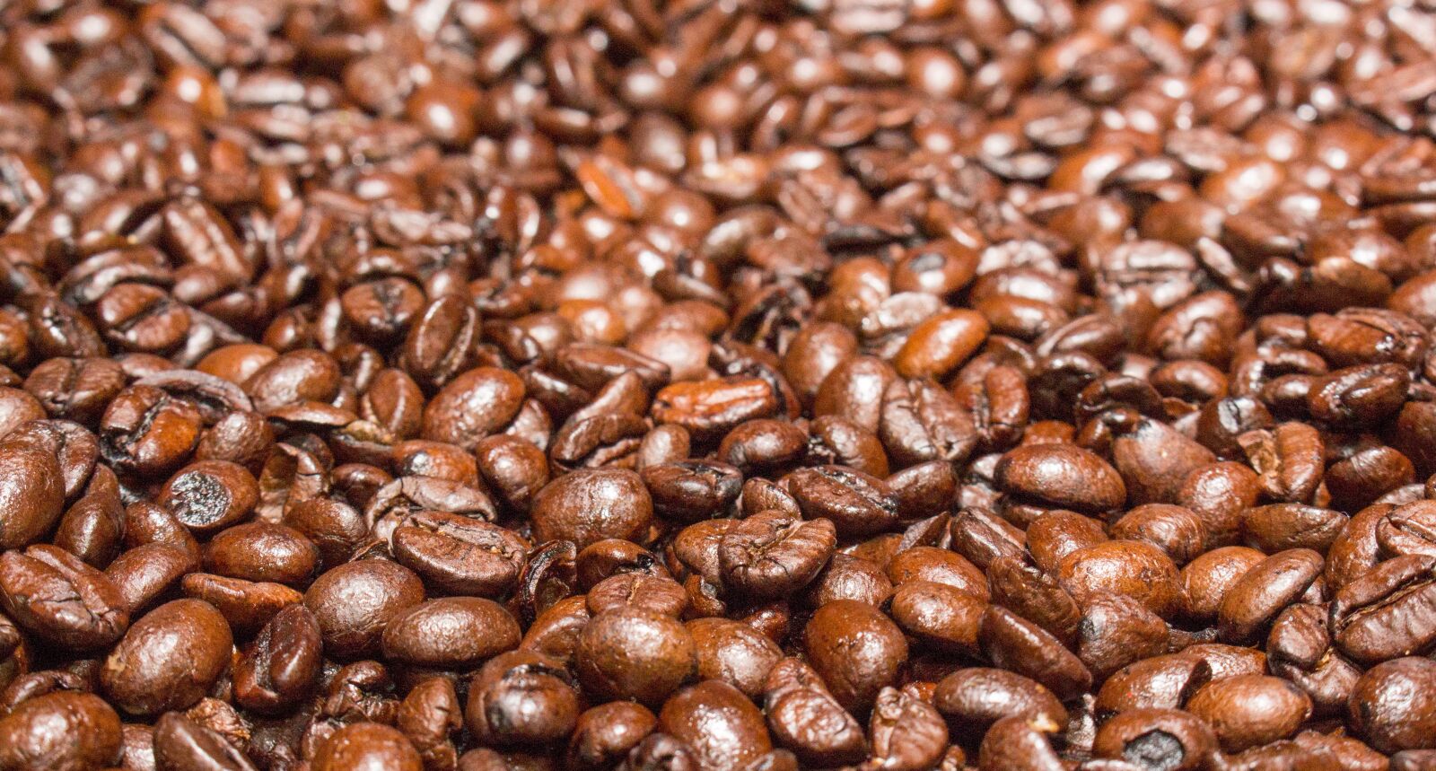 Canon EOS 700D (EOS Rebel T5i / EOS Kiss X7i) sample photo. Seed, coffee, food photography