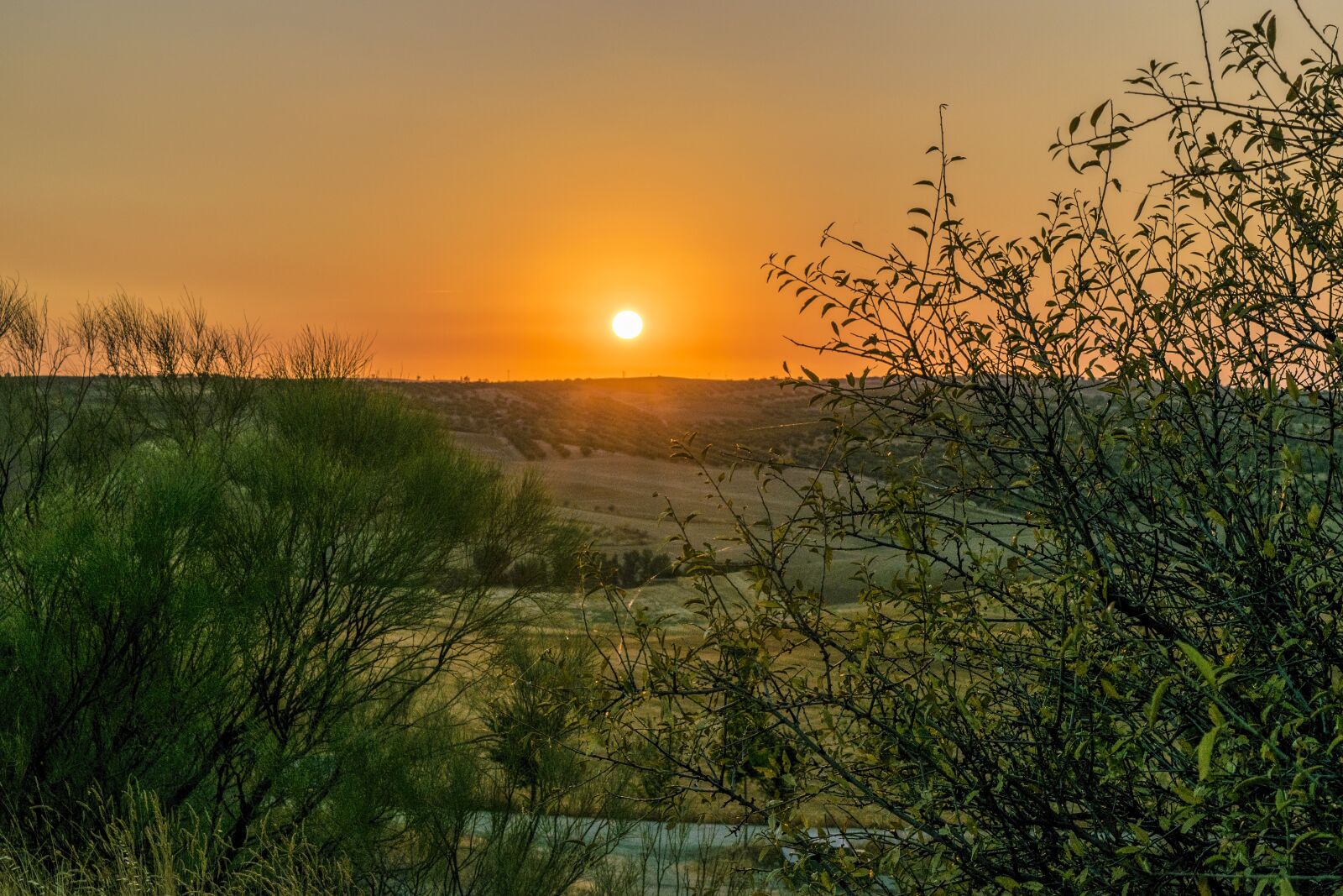 Nikon D3300 sample photo. Sunset, toledo, castile la photography