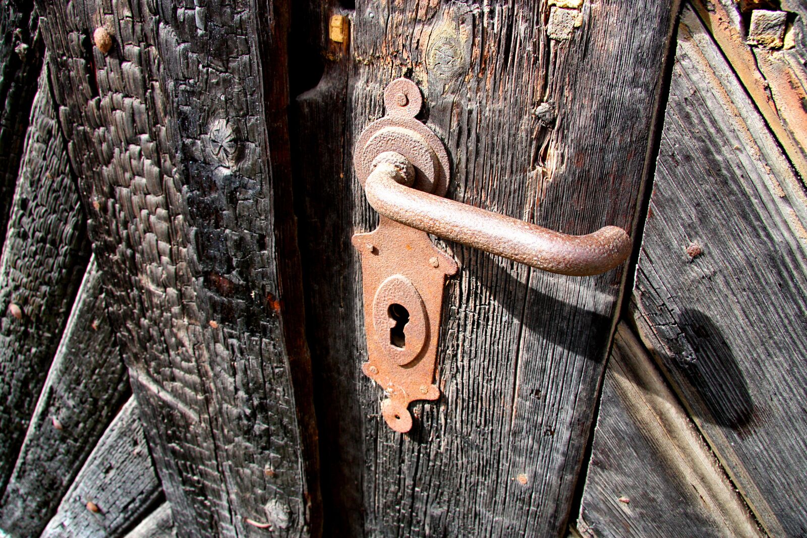 Canon EOS 40D sample photo. The old door, gate photography