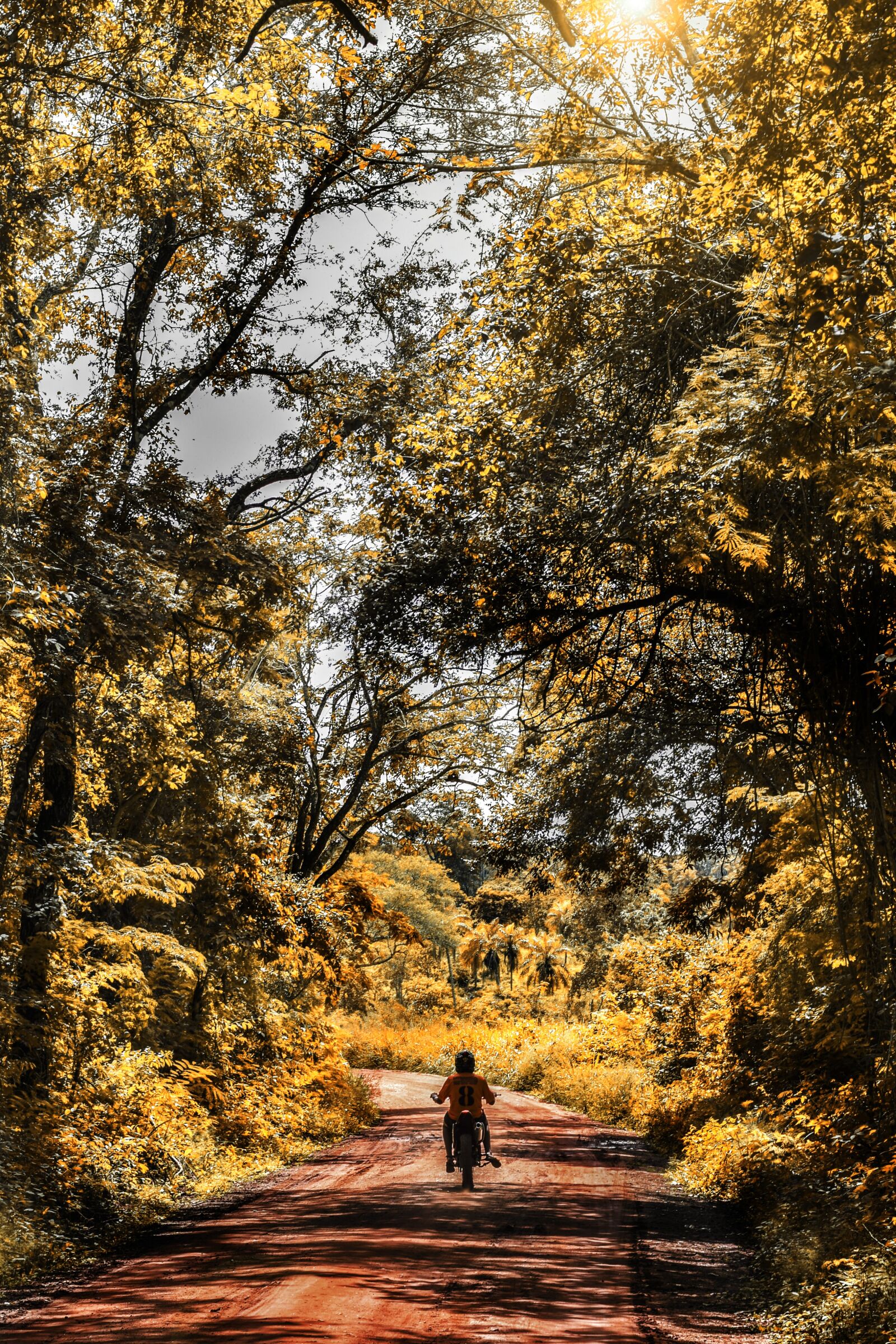 Nikon D3300 sample photo. Motorcycle, travel, walk photography