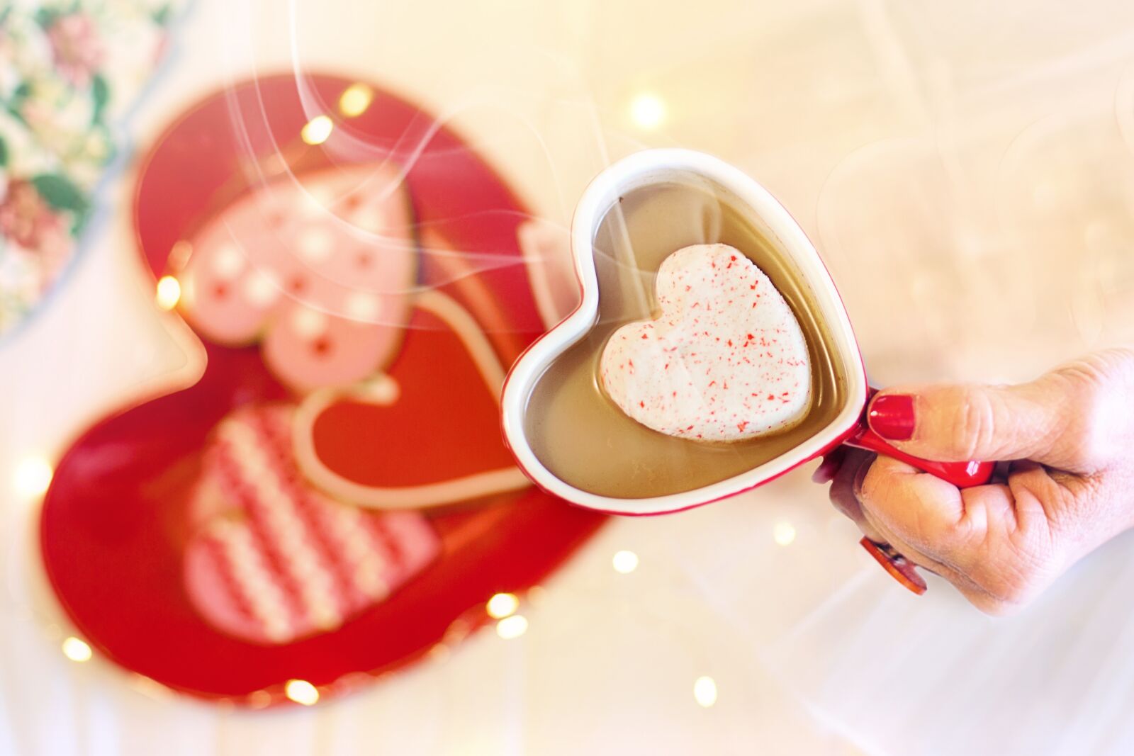 Canon EF 50mm F1.4 USM sample photo. Valentine's day, valentine, hearts photography
