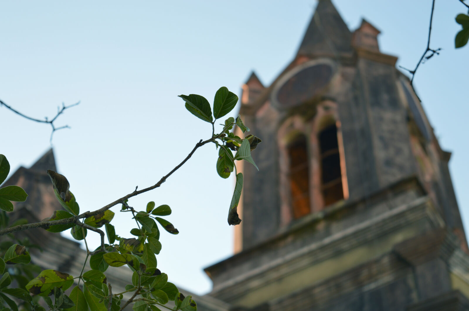 Nikon D3200 sample photo. Brazil, church, nature, old photography