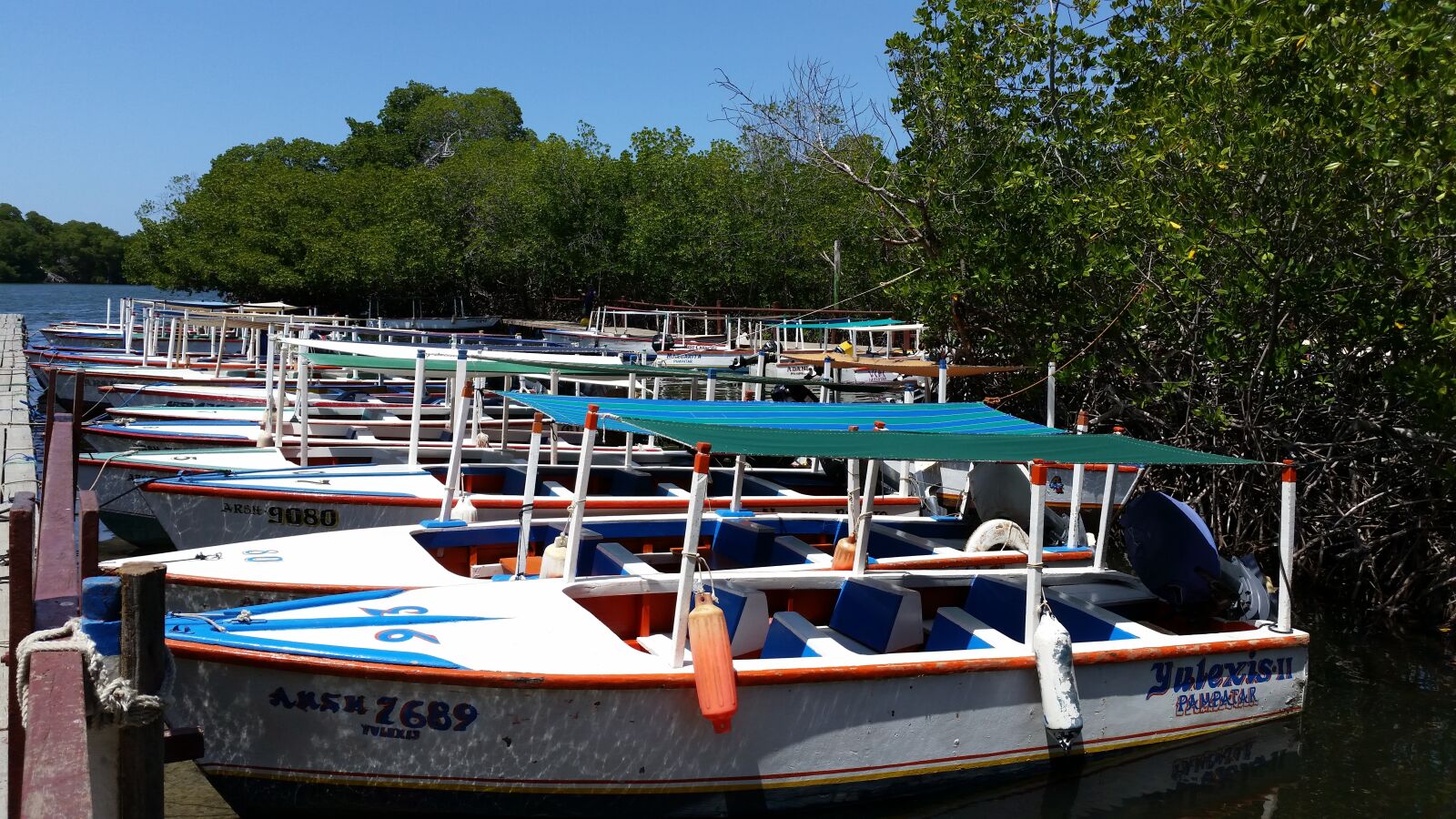 Samsung Galaxy S5 sample photo. Margarita, restinga, caribbean photography